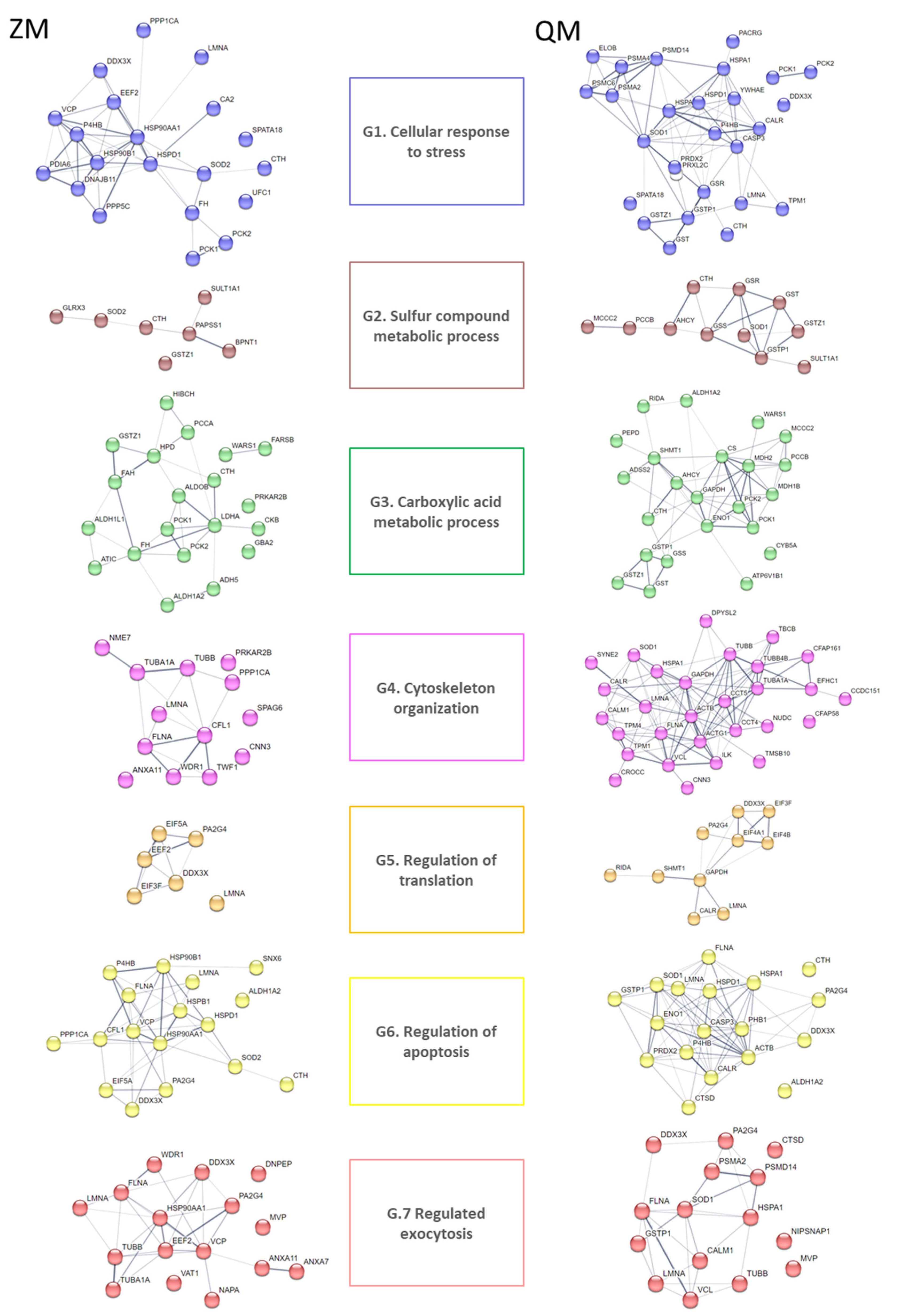 Proteomes 12 00010 g003