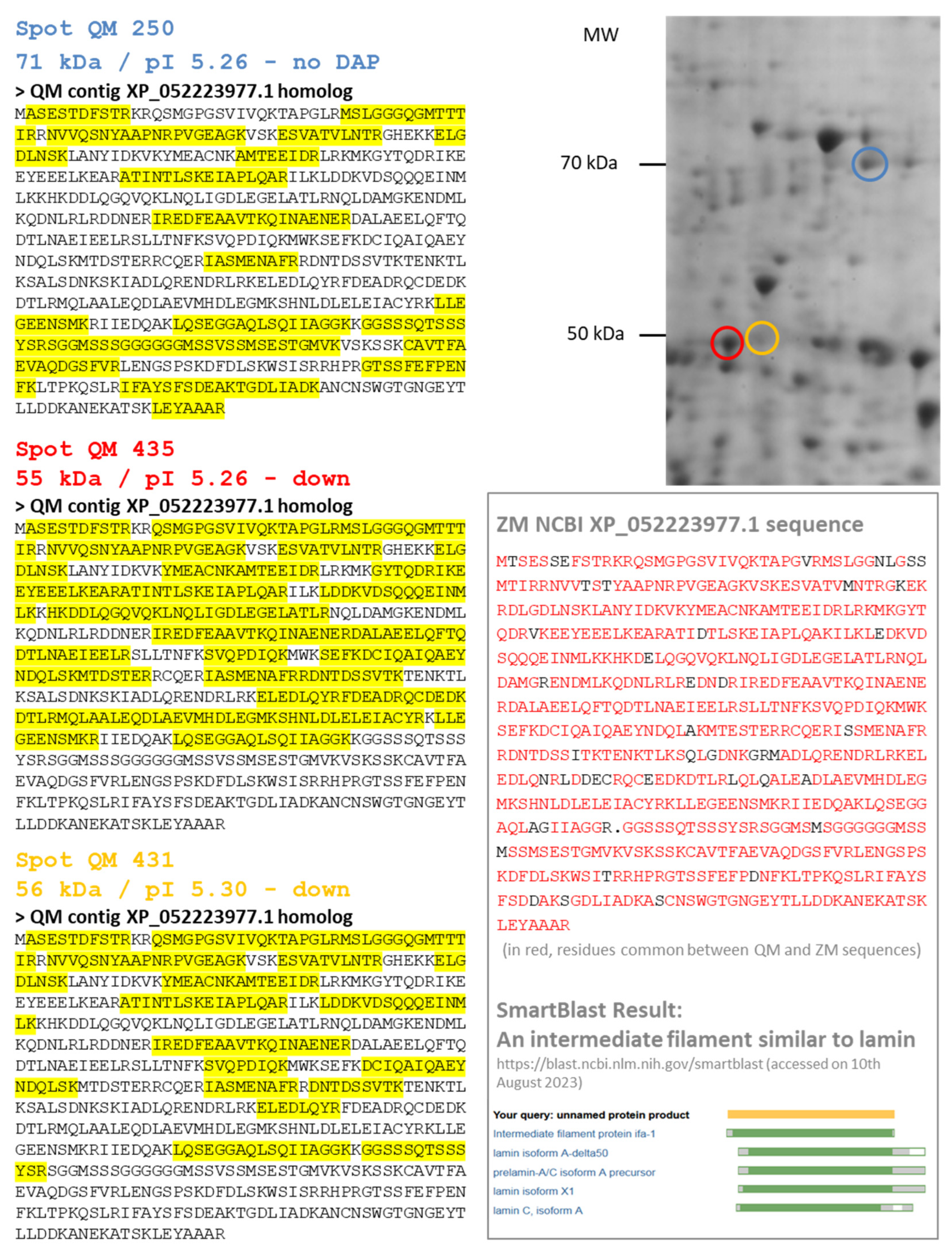Proteomes 12 00010 g005