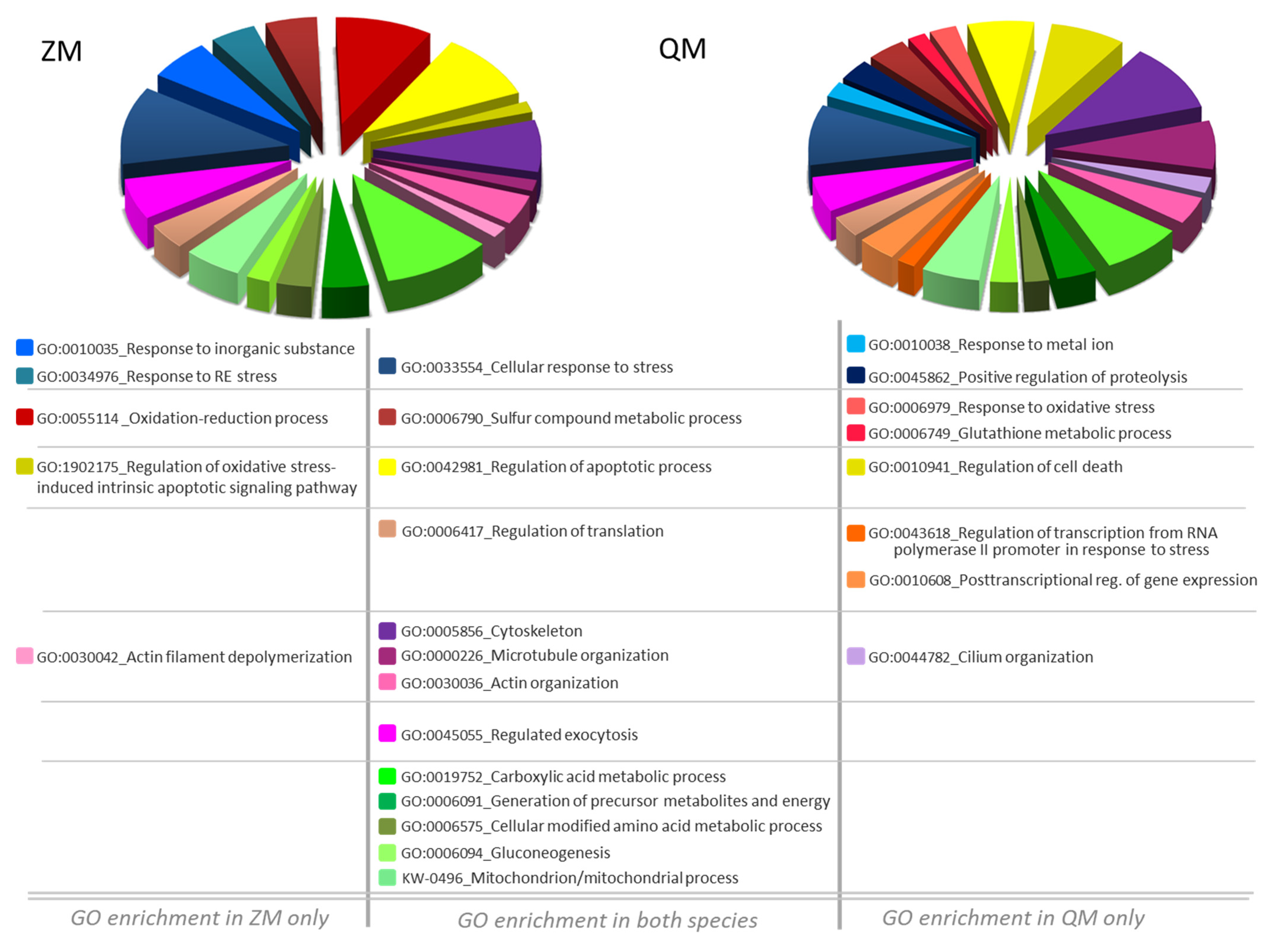 Proteomes 12 00010 g007
