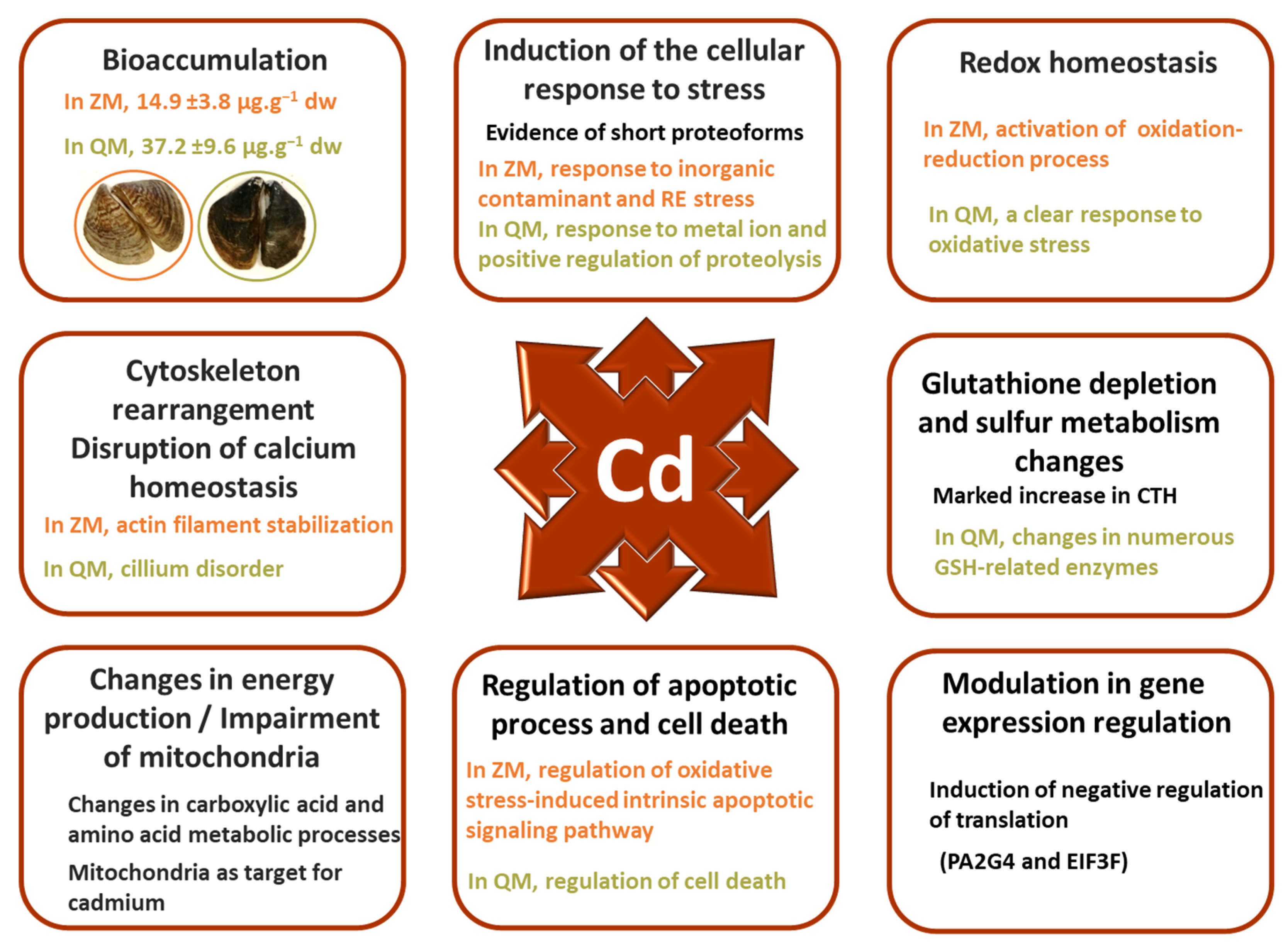 Proteomes 12 00010 g008