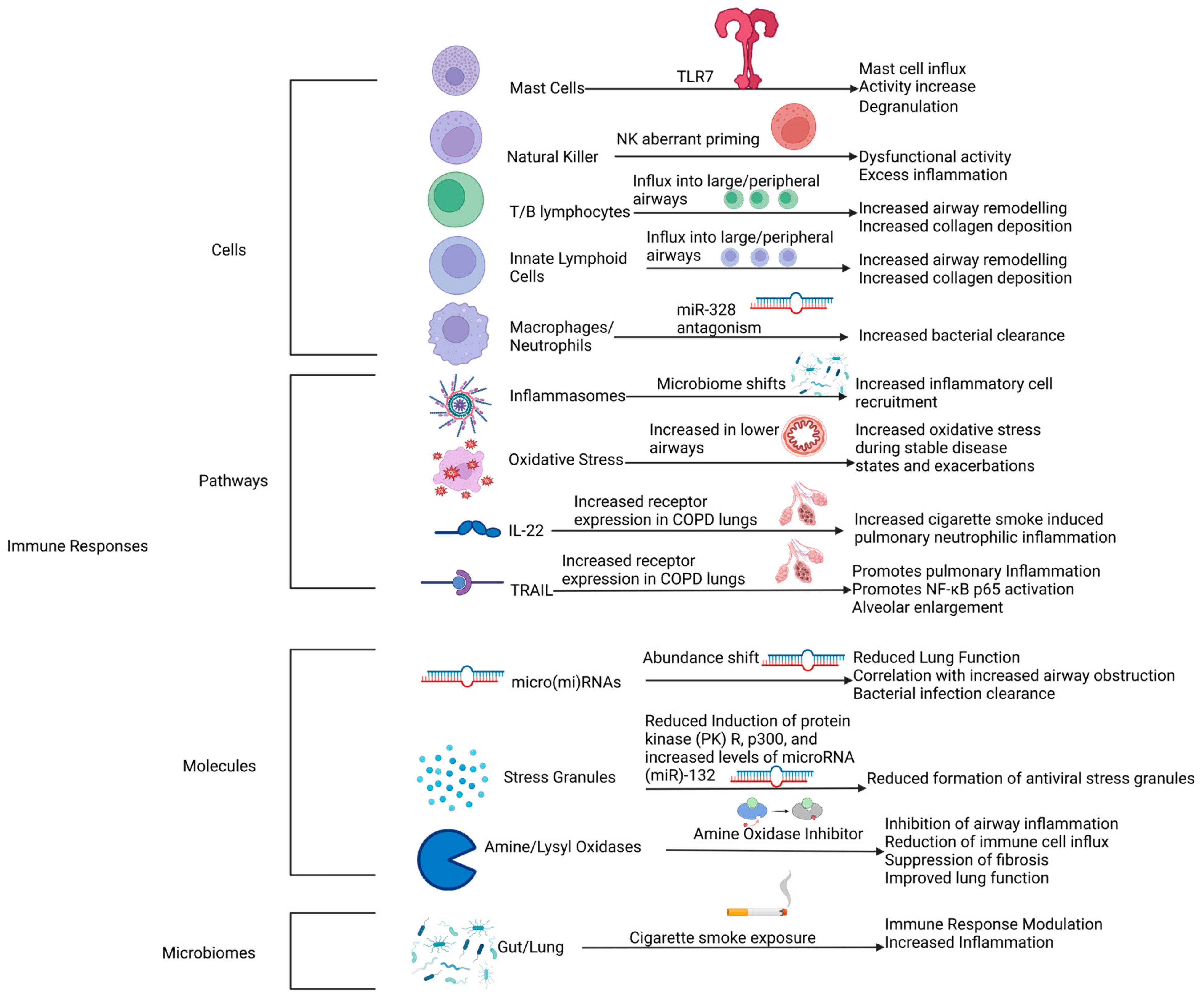 Proteomes 12 00023 g001