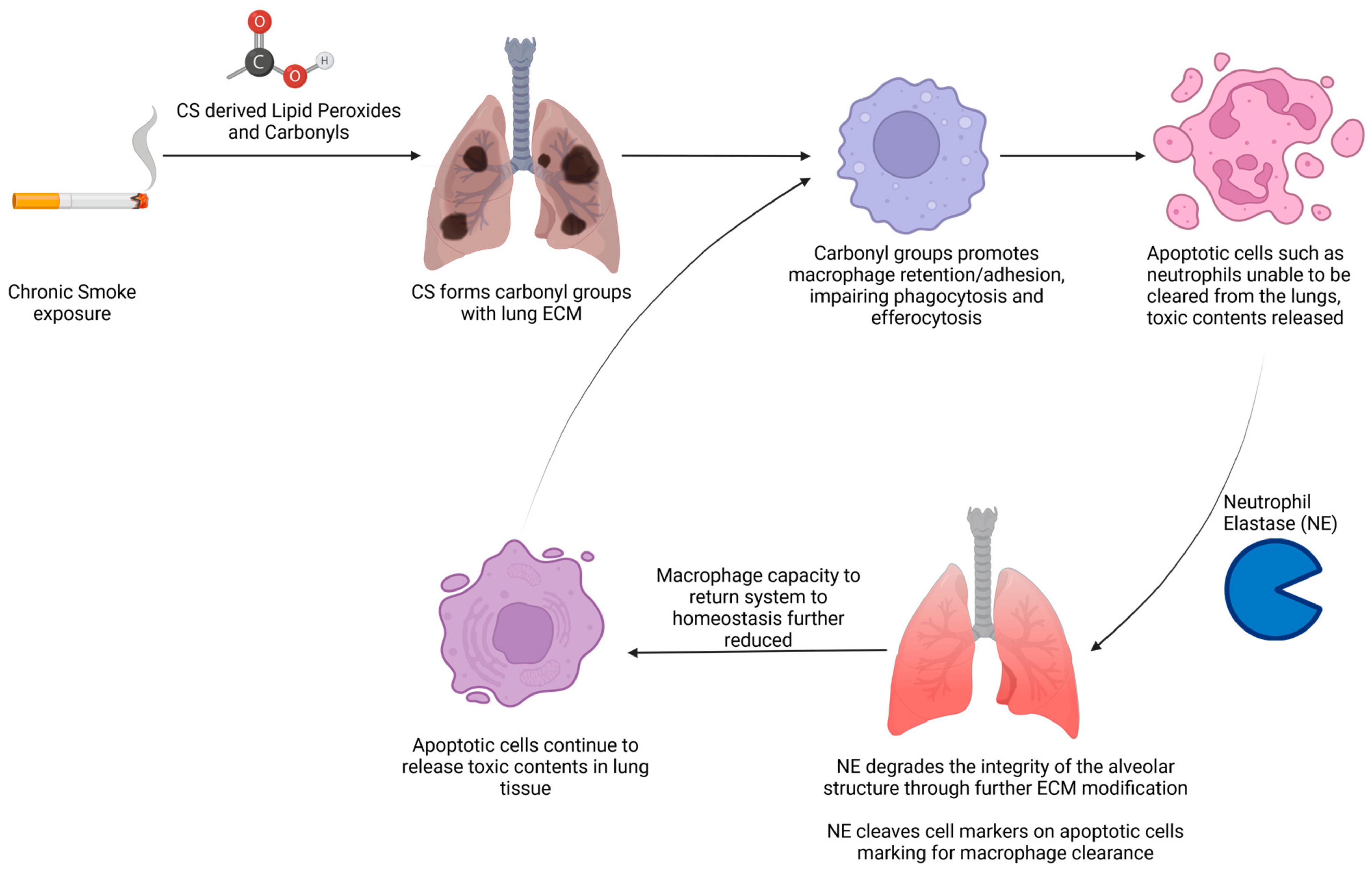 Proteomes 12 00023 g002