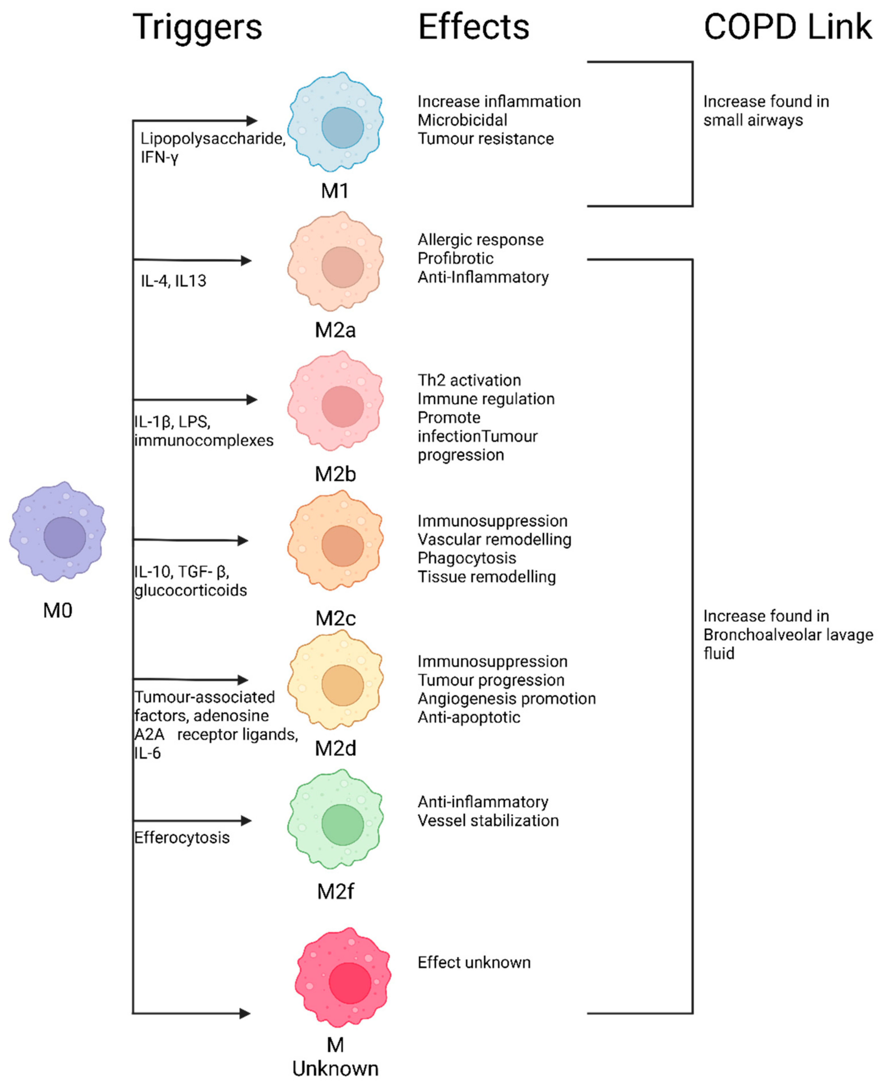 Proteomes 12 00023 g003