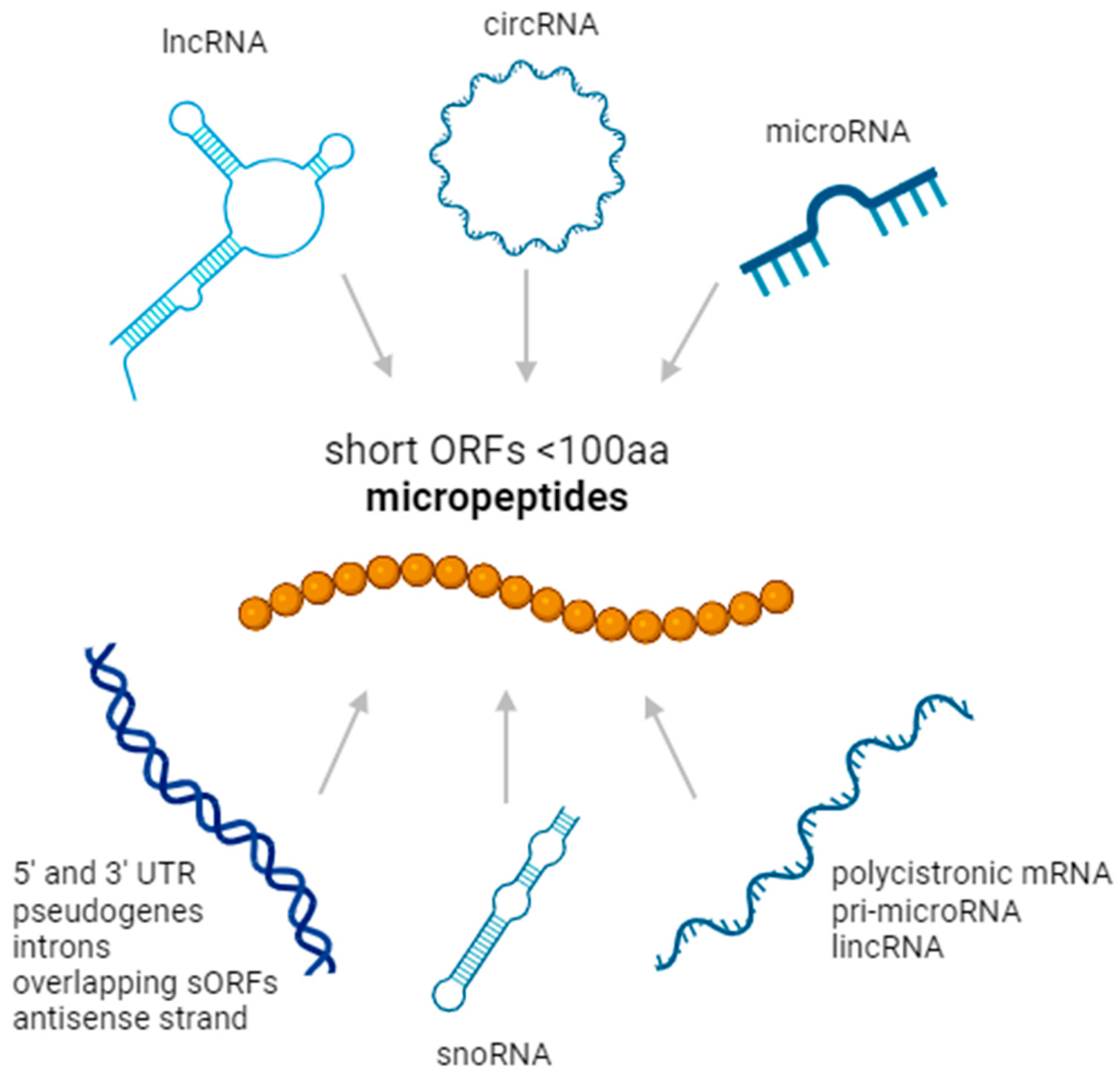 Proteomes 12 00026 g001