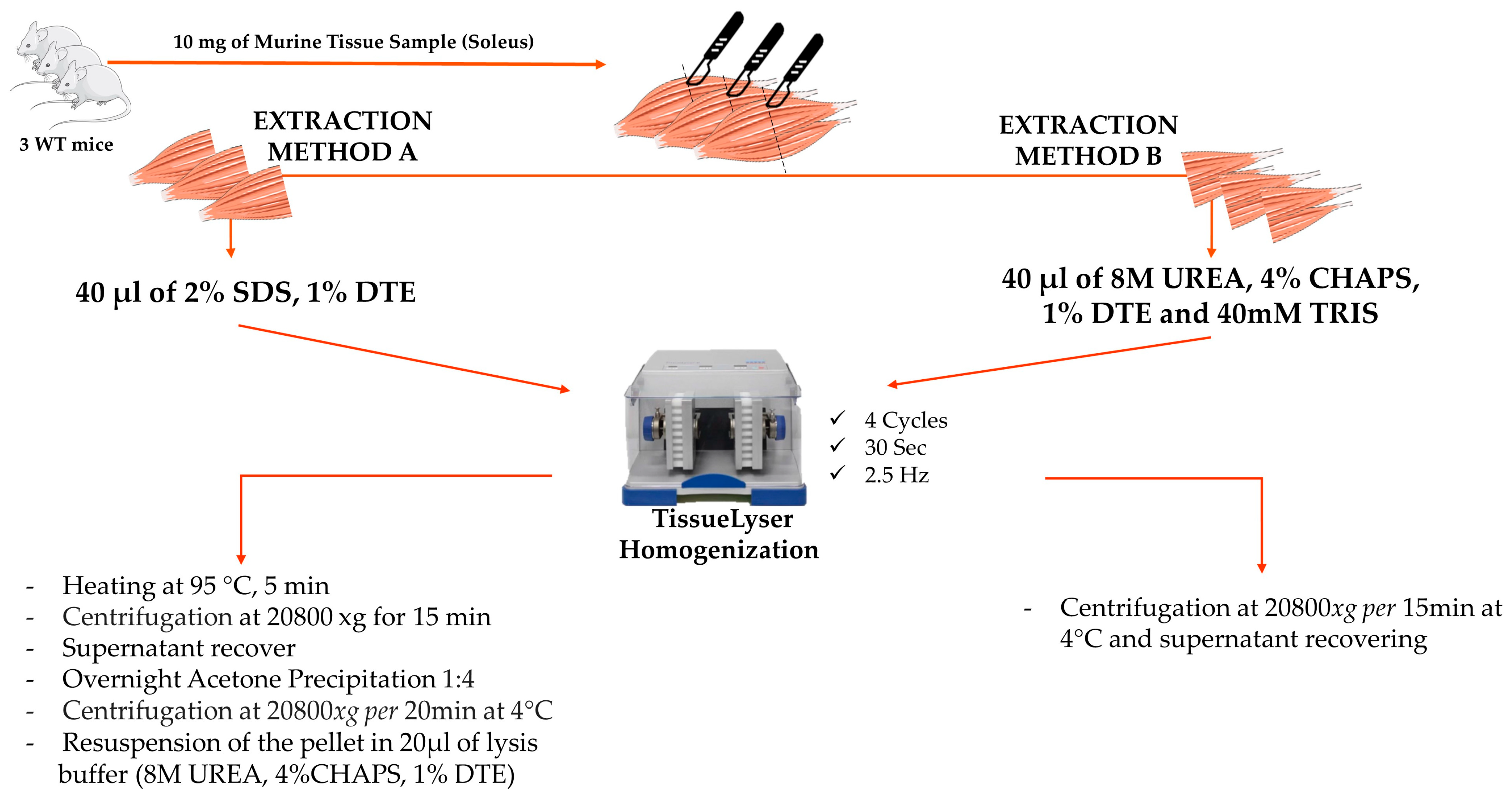 Proteomes 12 00027 g001