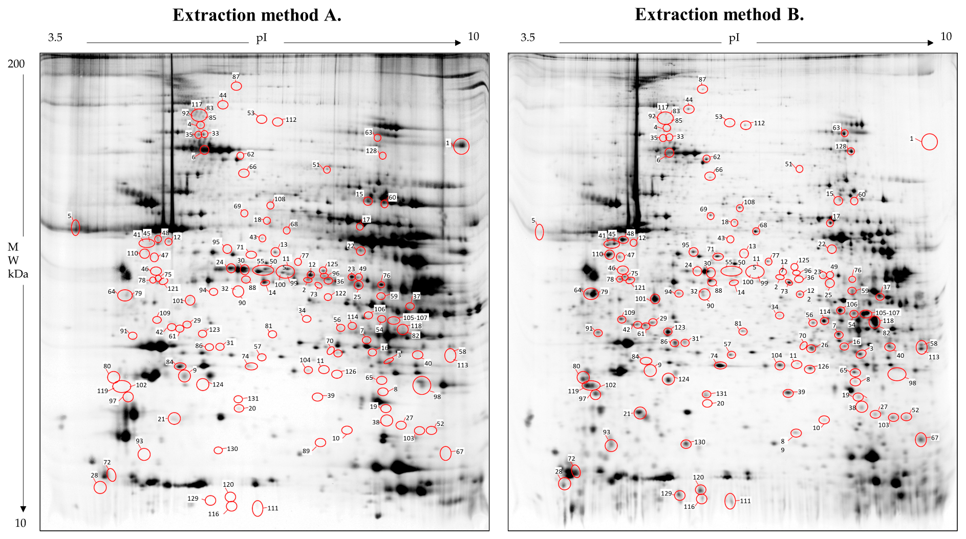 Proteomes 12 00027 g003