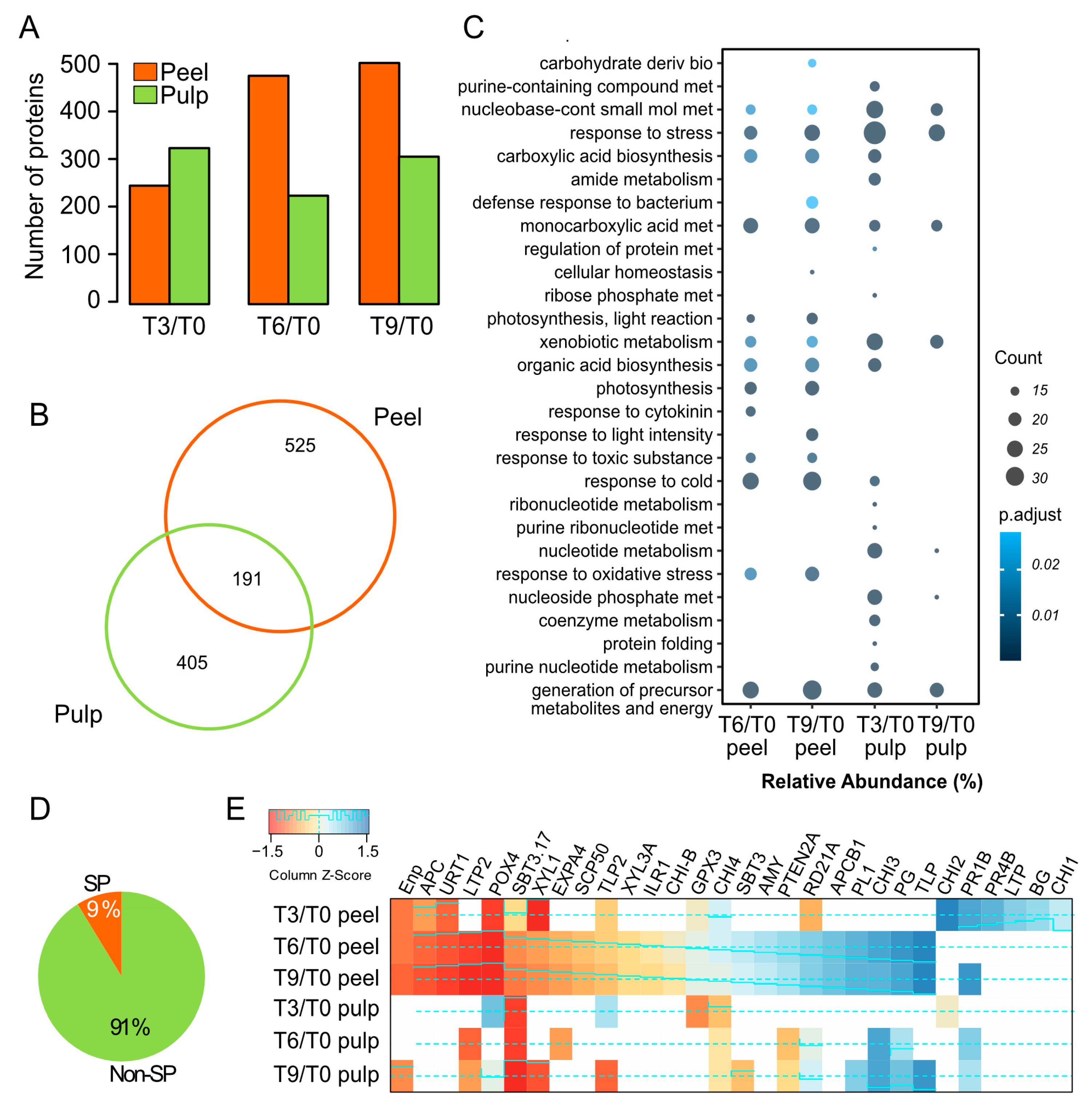 Proteomes 12 00028 g004