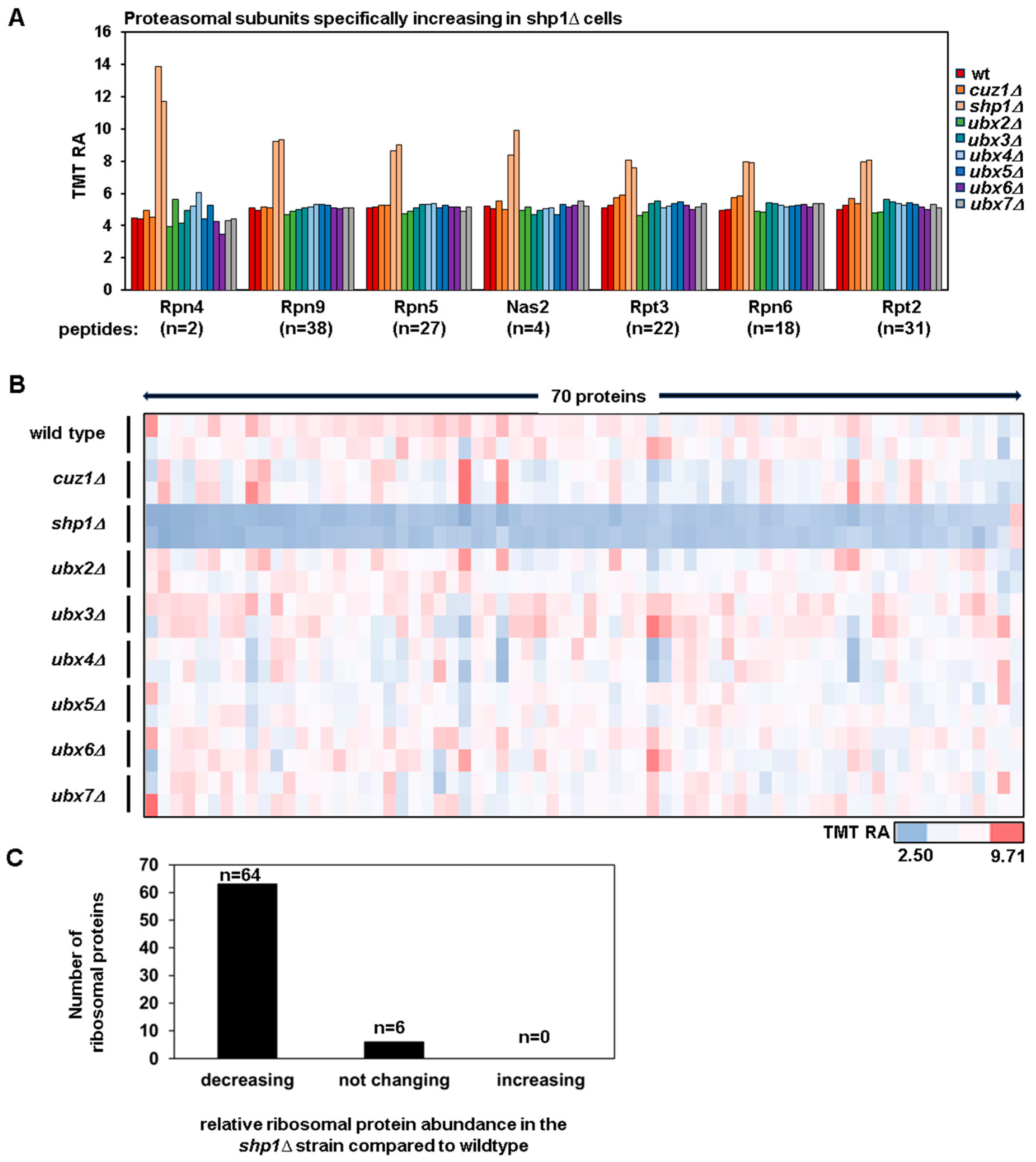 Proteomes 12 00031 g003
