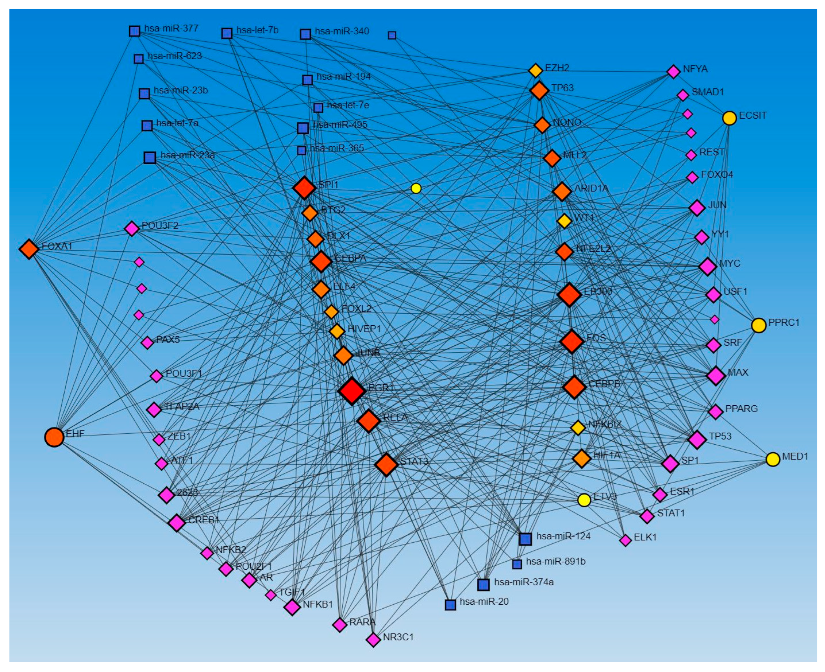 Proteomes 12 00032 g001