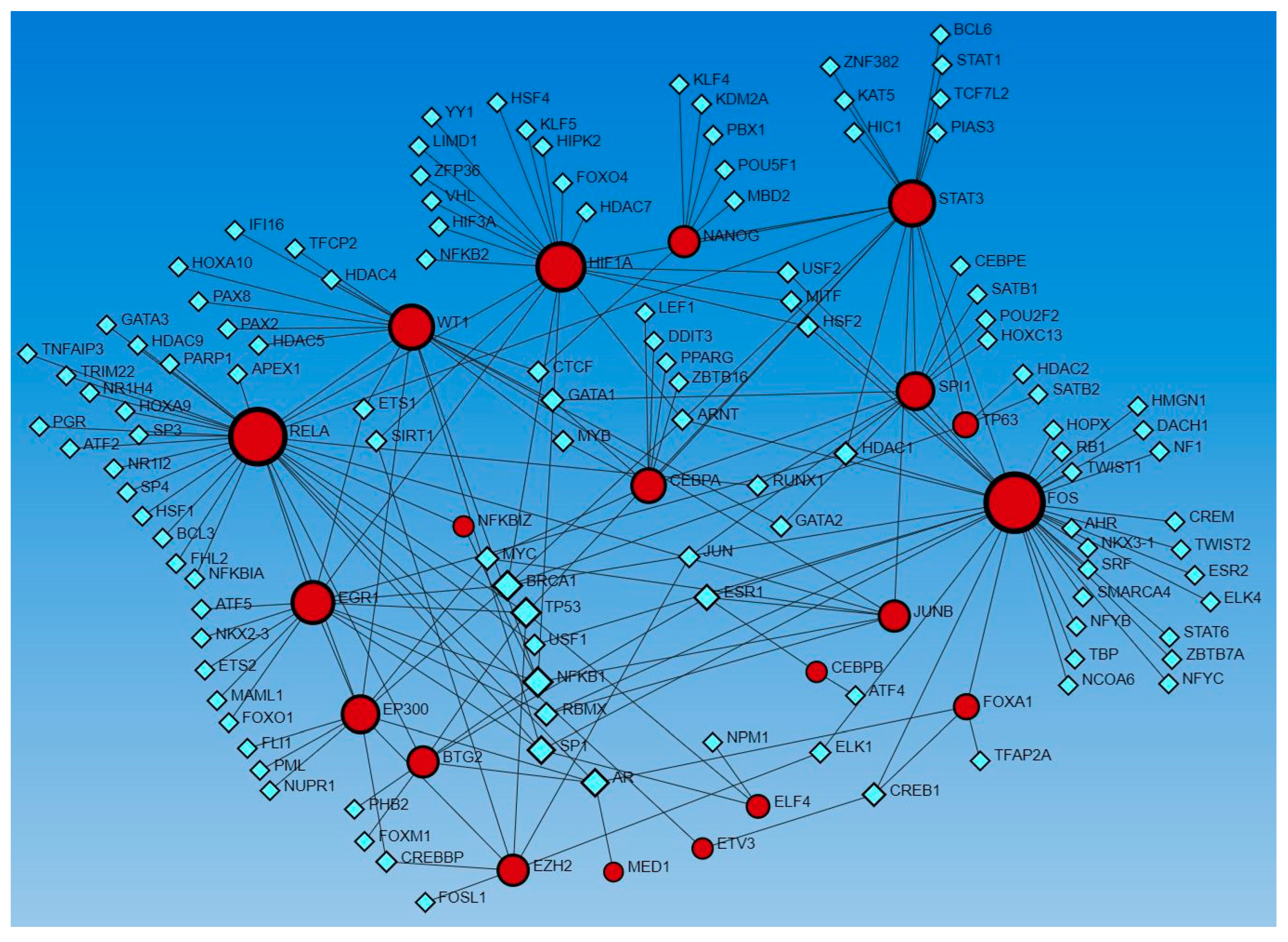 Proteomes 12 00032 g003