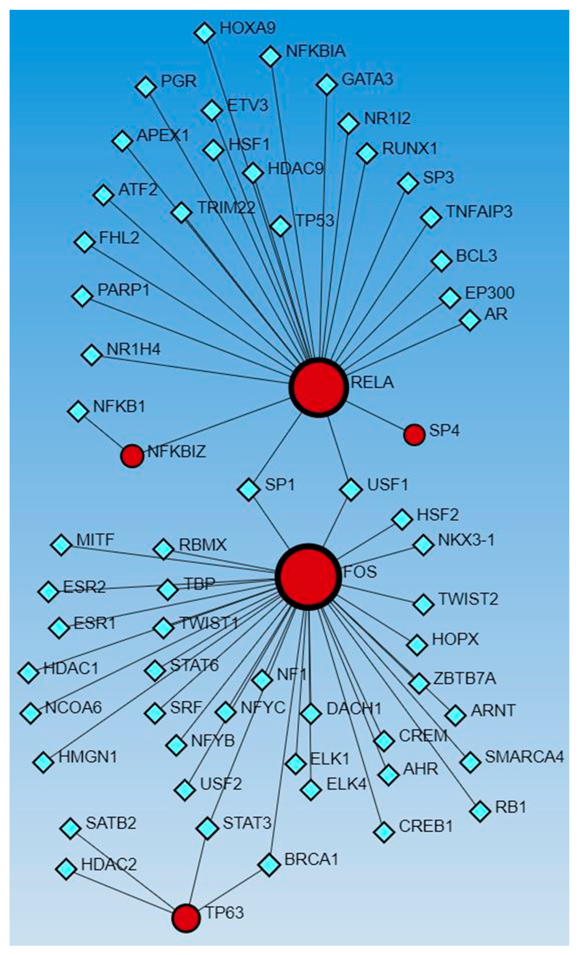 Proteomes 12 00032 g005