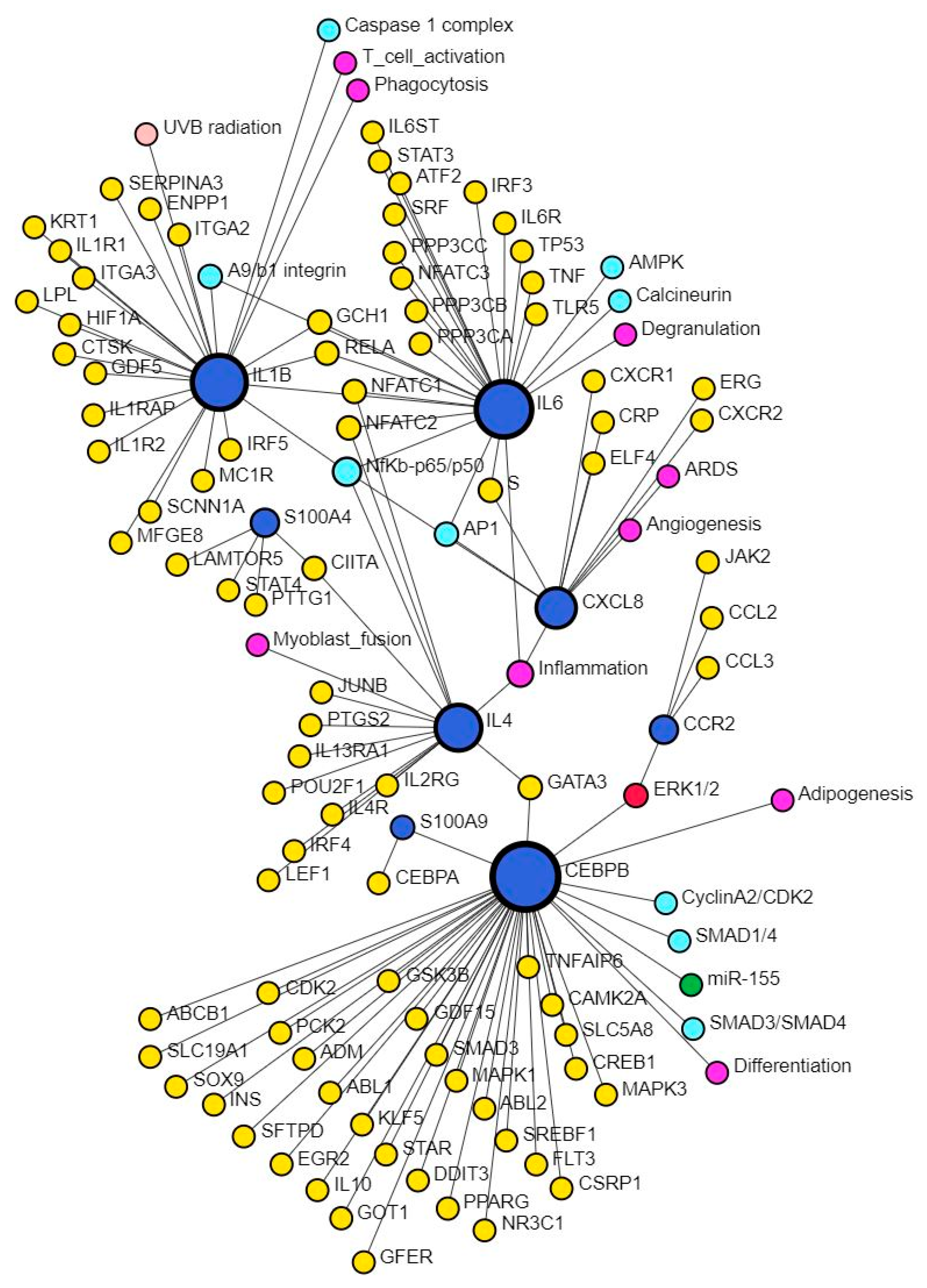 Proteomes 12 00032 g007