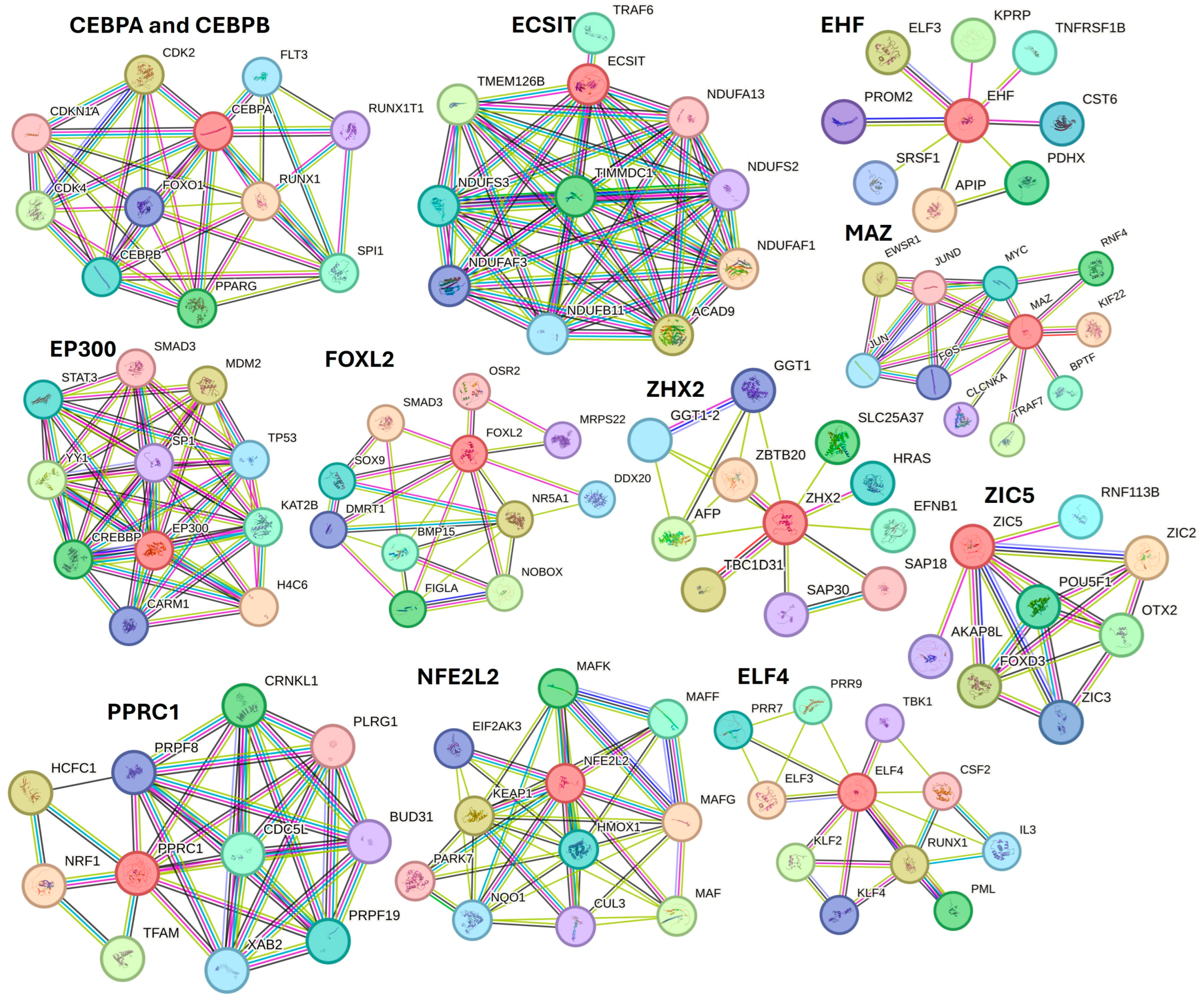 Proteomes 12 00032 g008