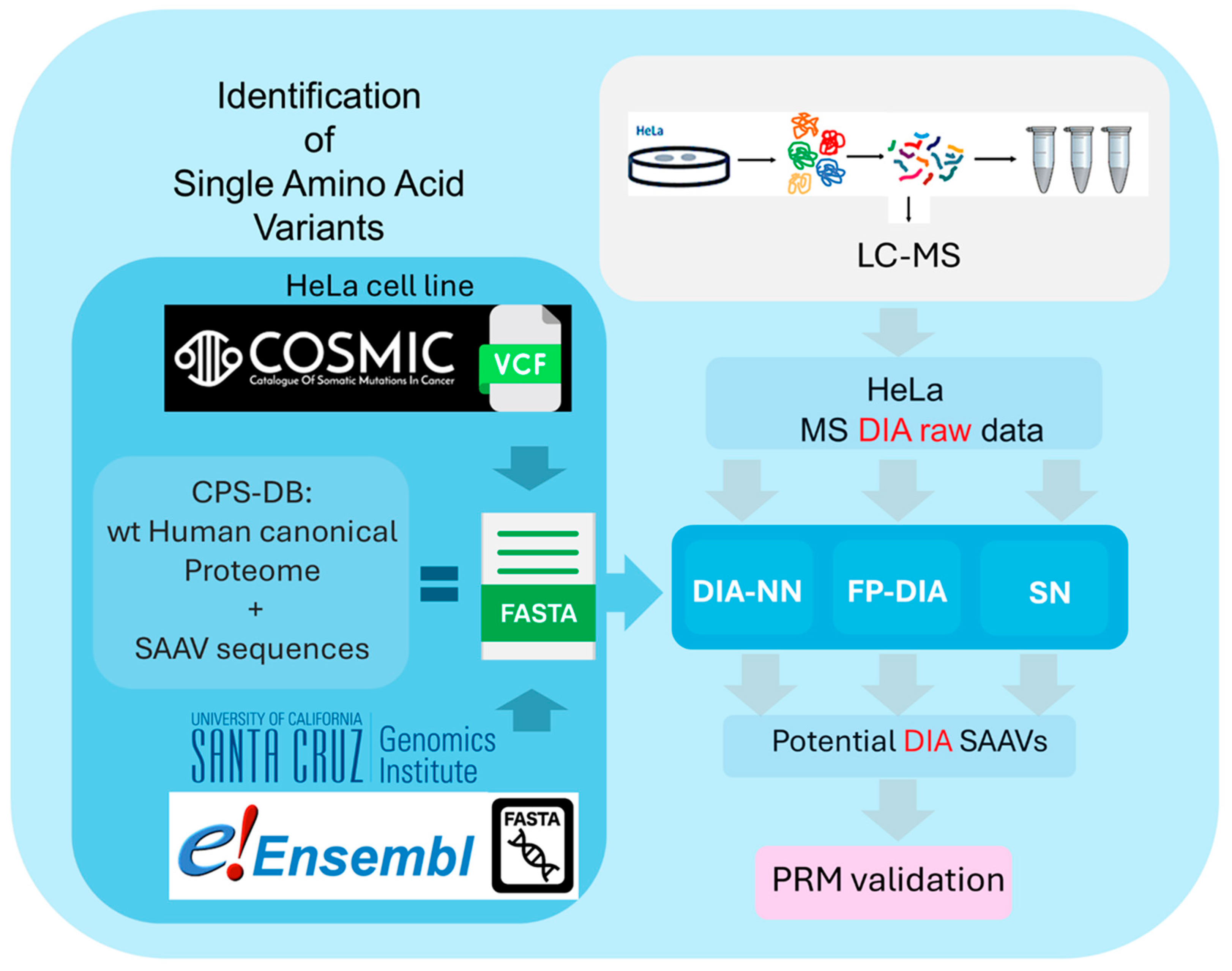 Proteomes 12 00033 g001
