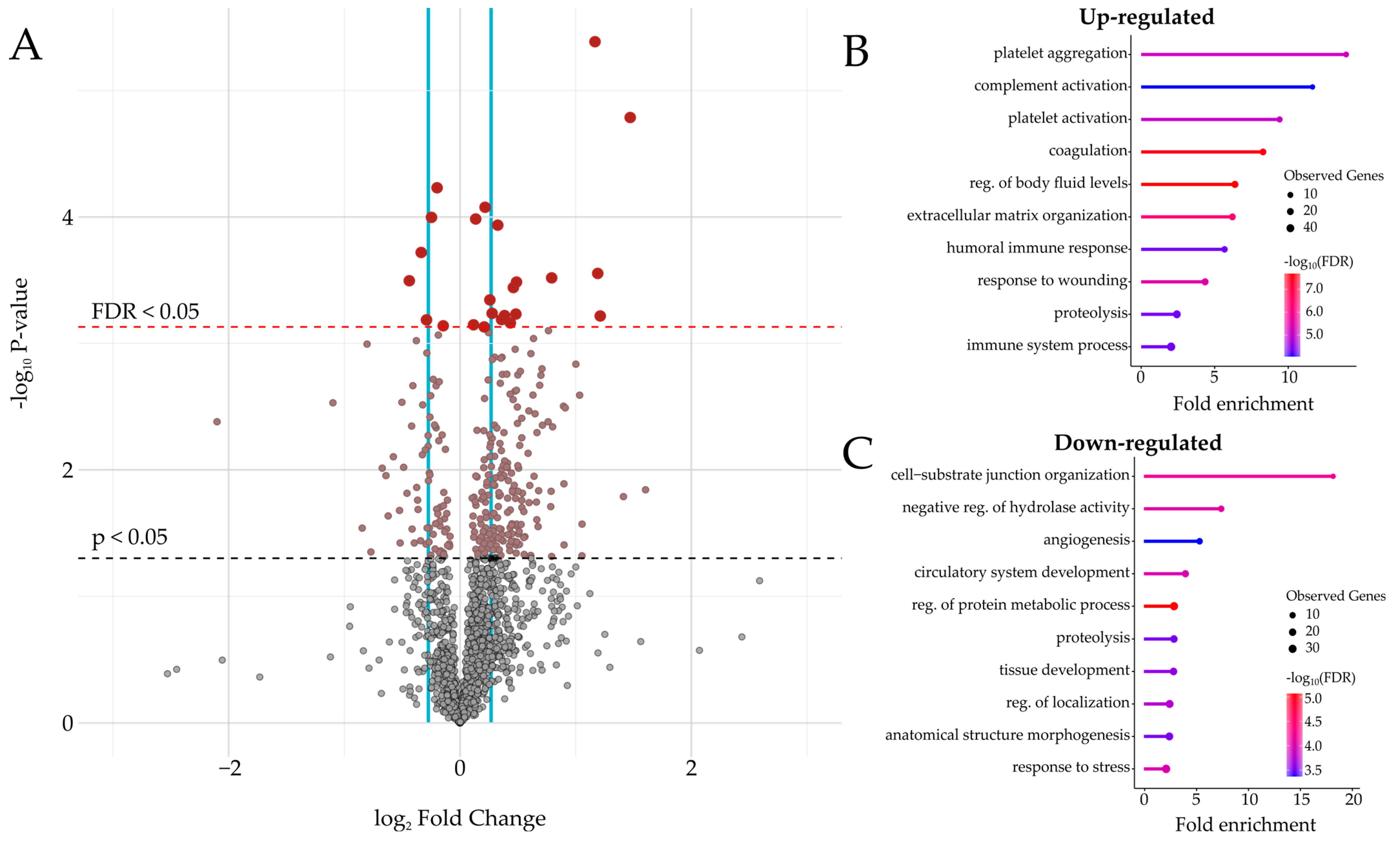Proteomes 12 00037 g002 Proteomes 12 00037 g002