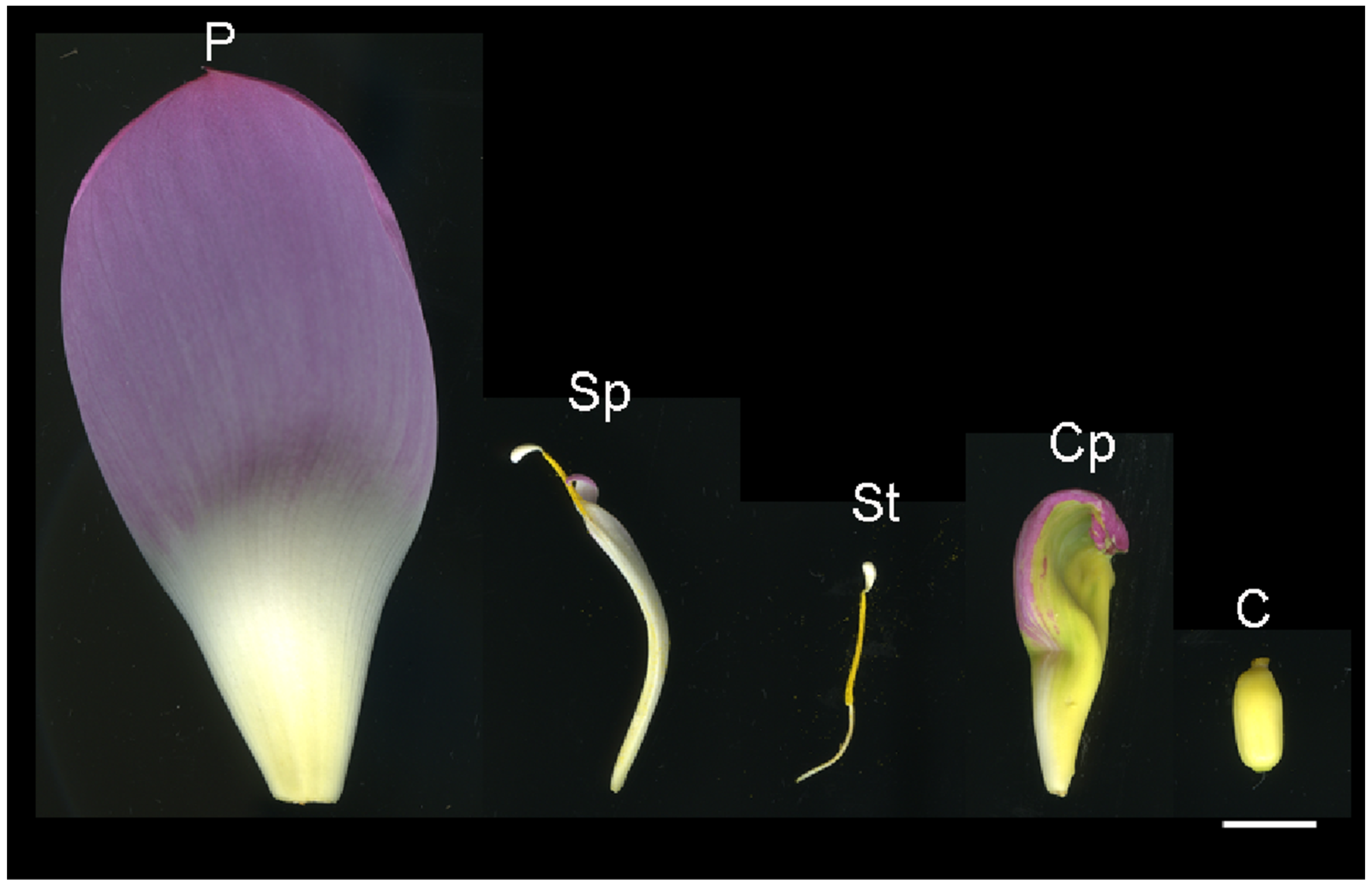 Proteomes 13 00004 g001 Proteomes 13 00004 g001
