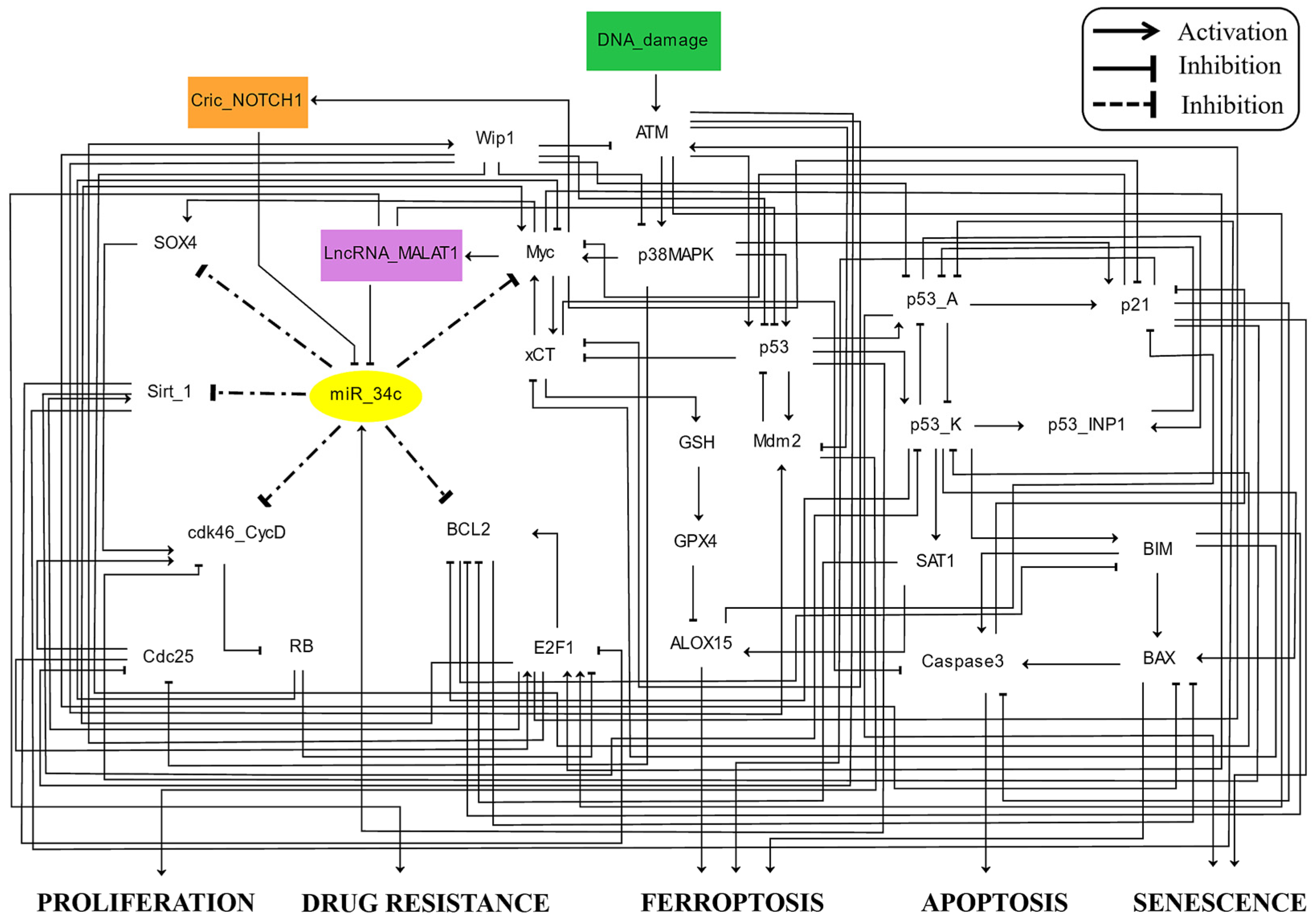 Proteomes 13 00006 g001
