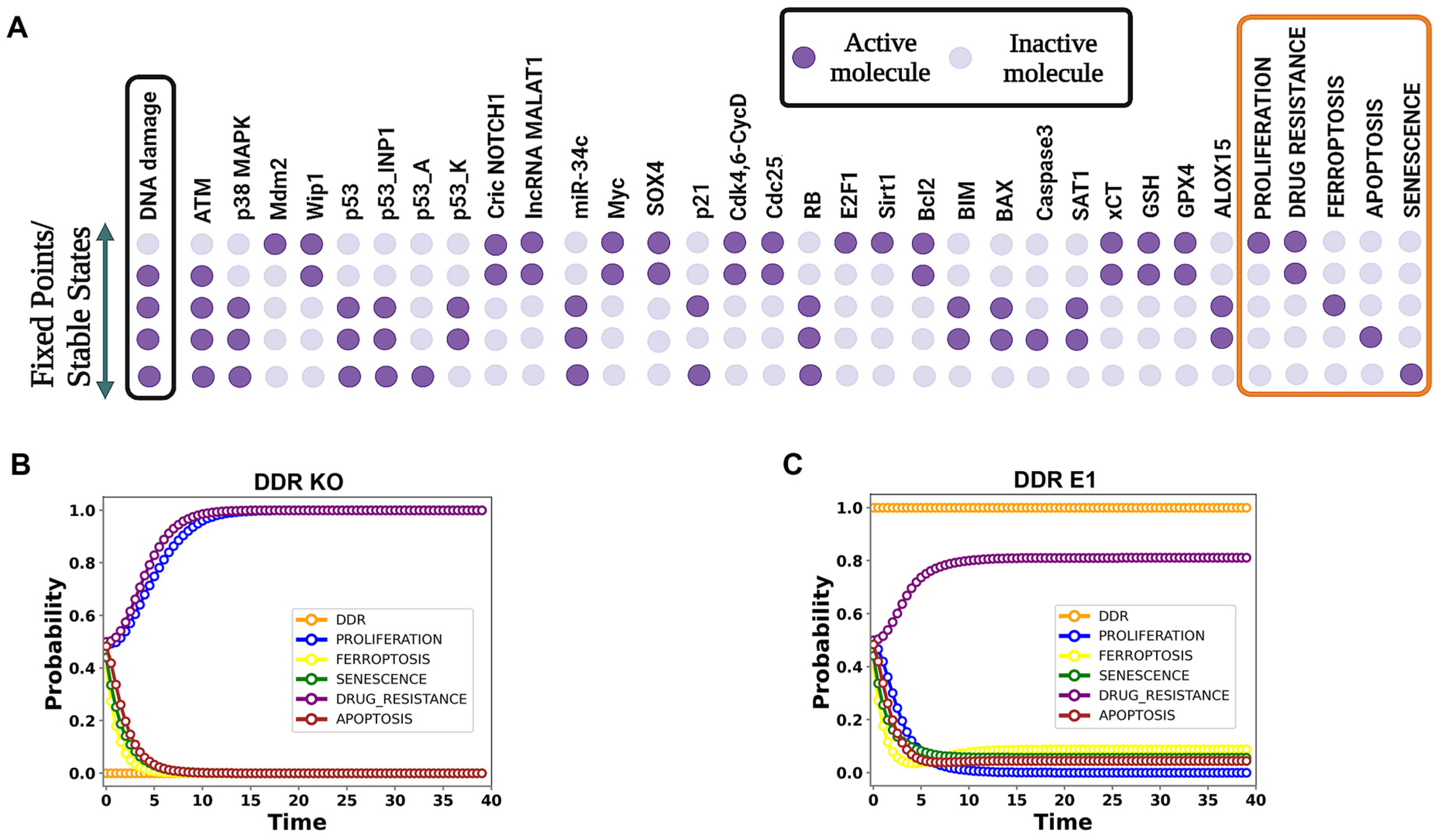 Proteomes 13 00006 g002