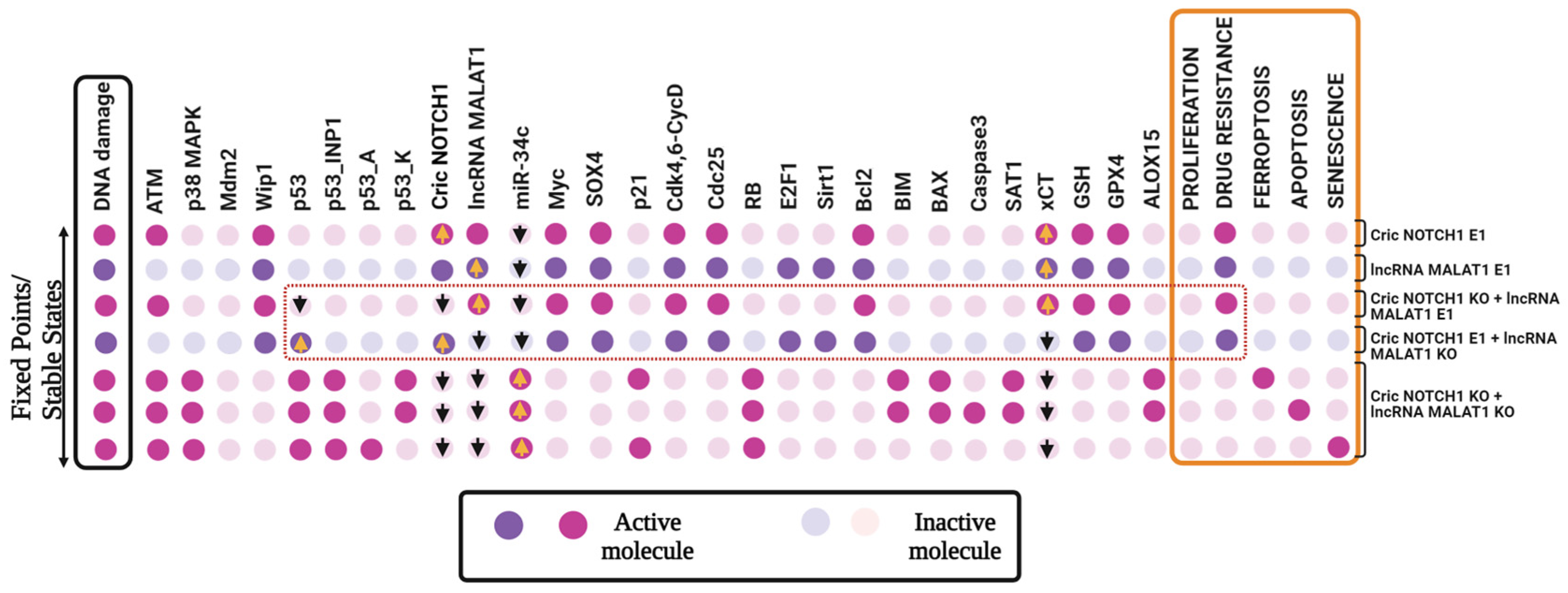 Proteomes 13 00006 g003