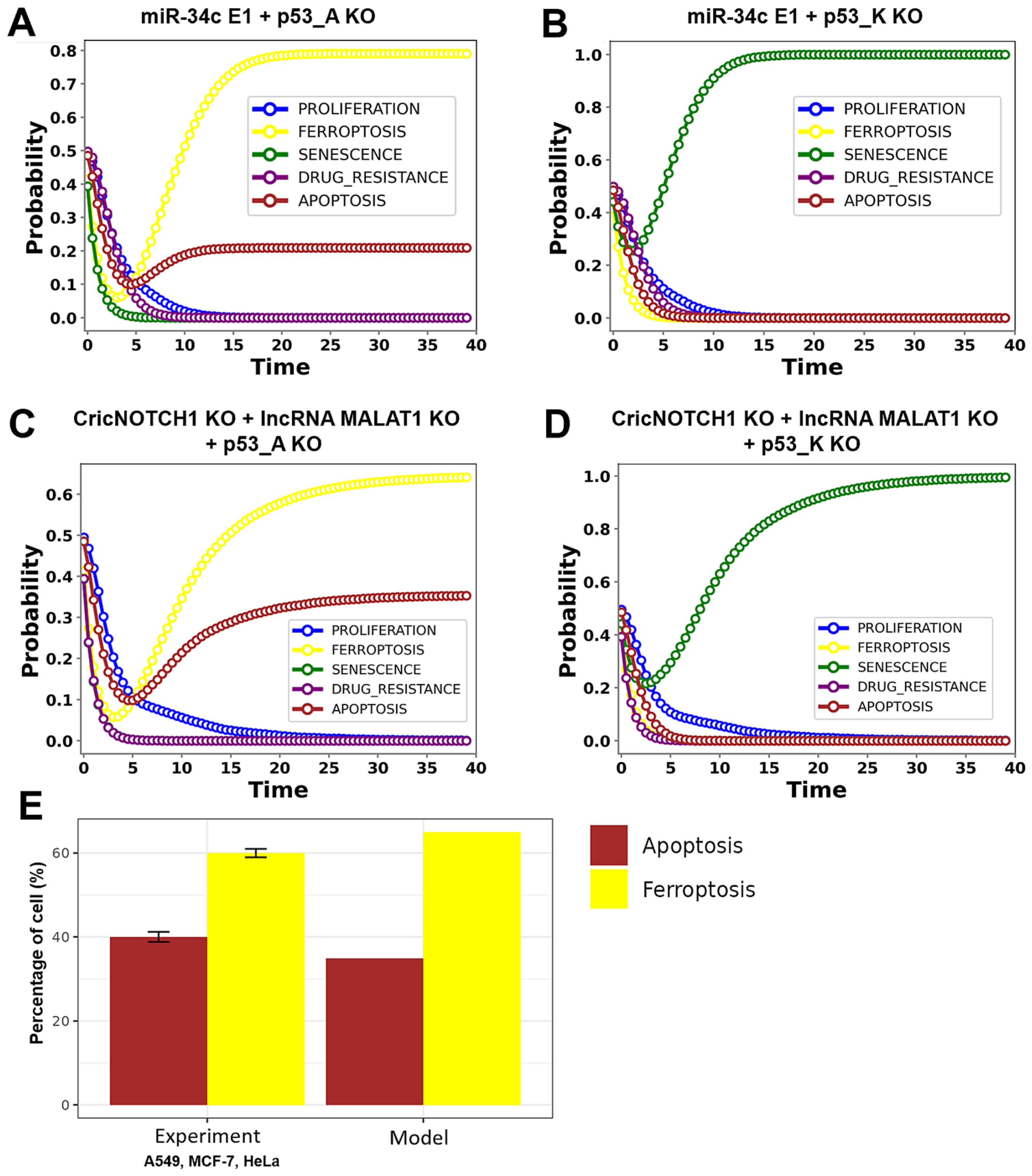 Proteomes 13 00006 g004