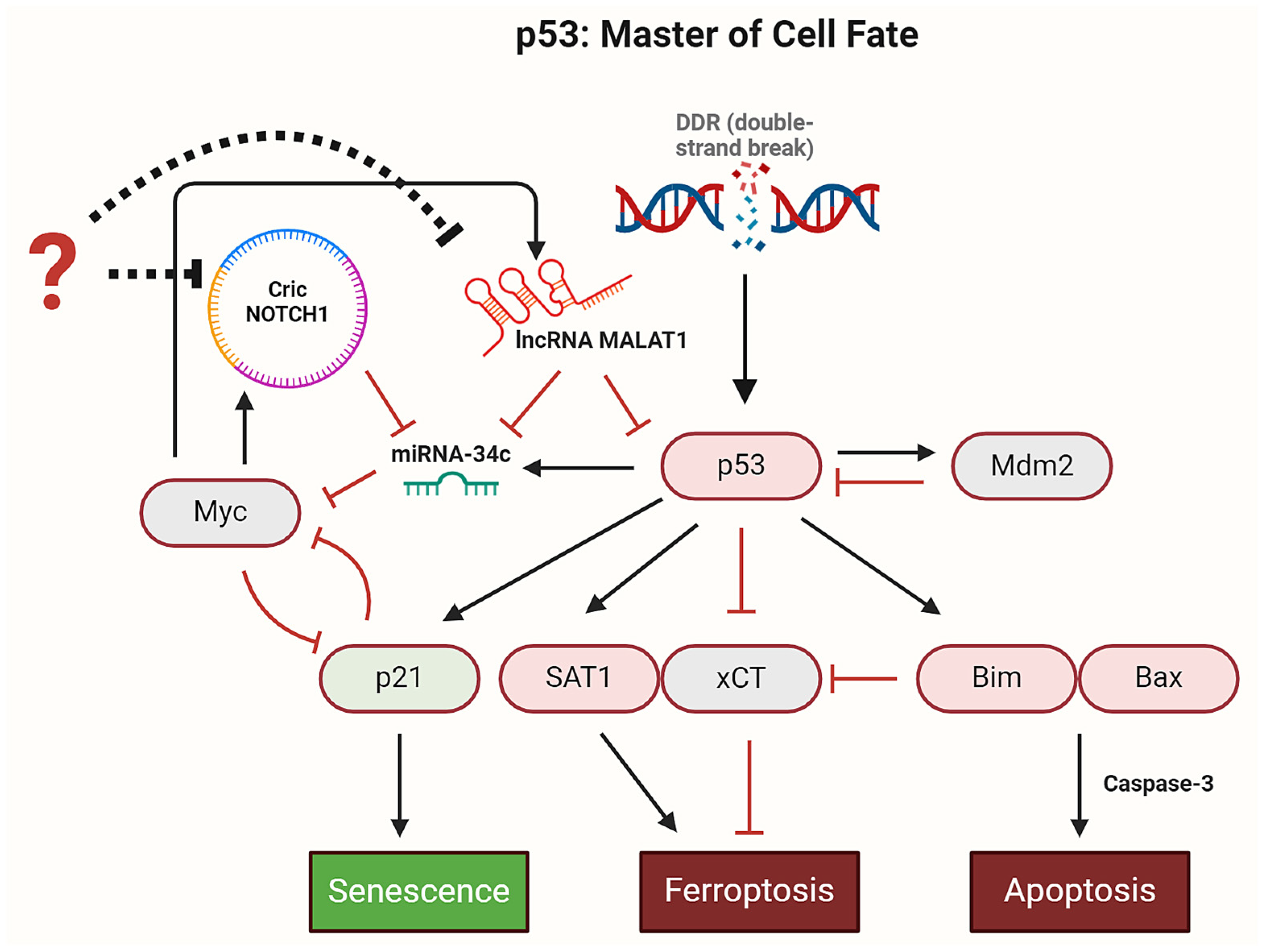 Proteomes 13 00006 g006