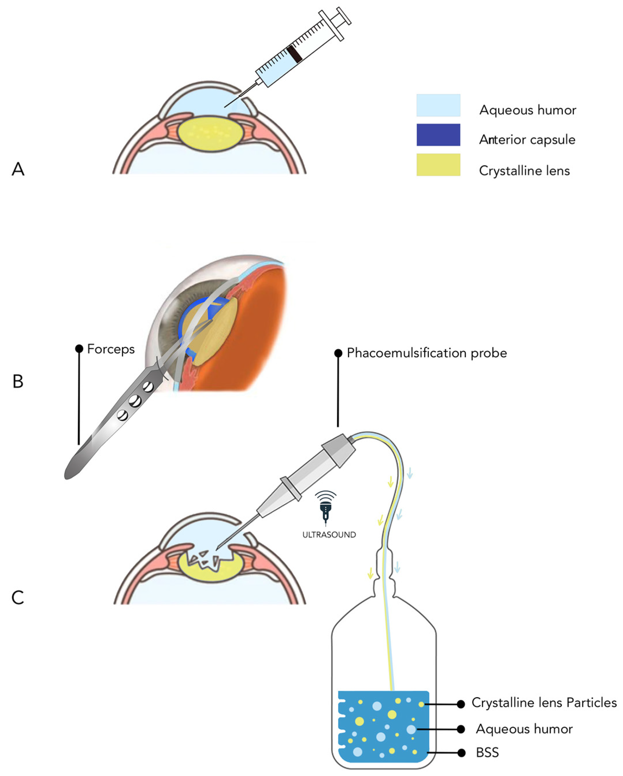 Proteomes 13 00007 g001 Proteomes 13 00007 g001