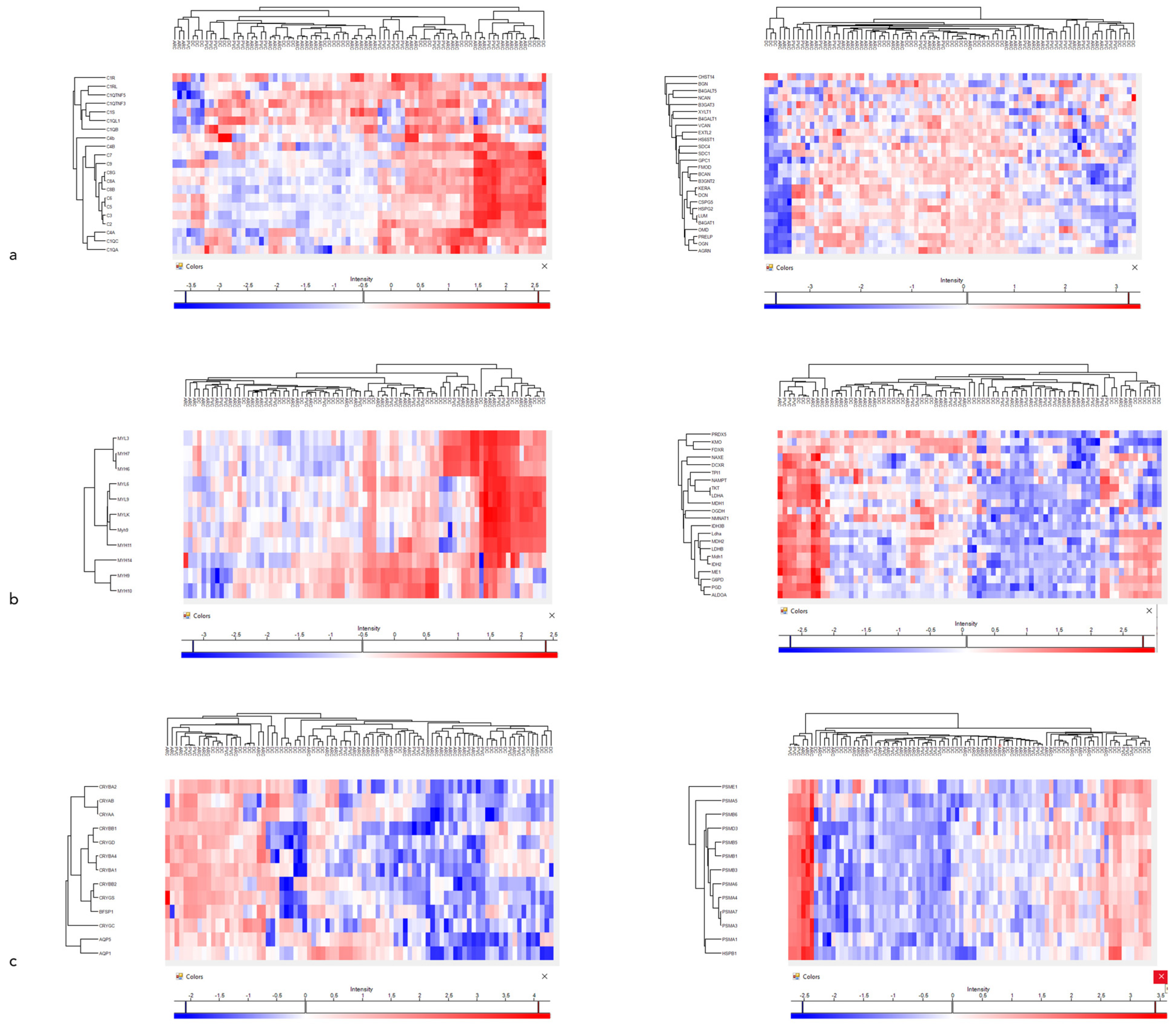 Proteomes 13 00007 g005 Proteomes 13 00007 g005