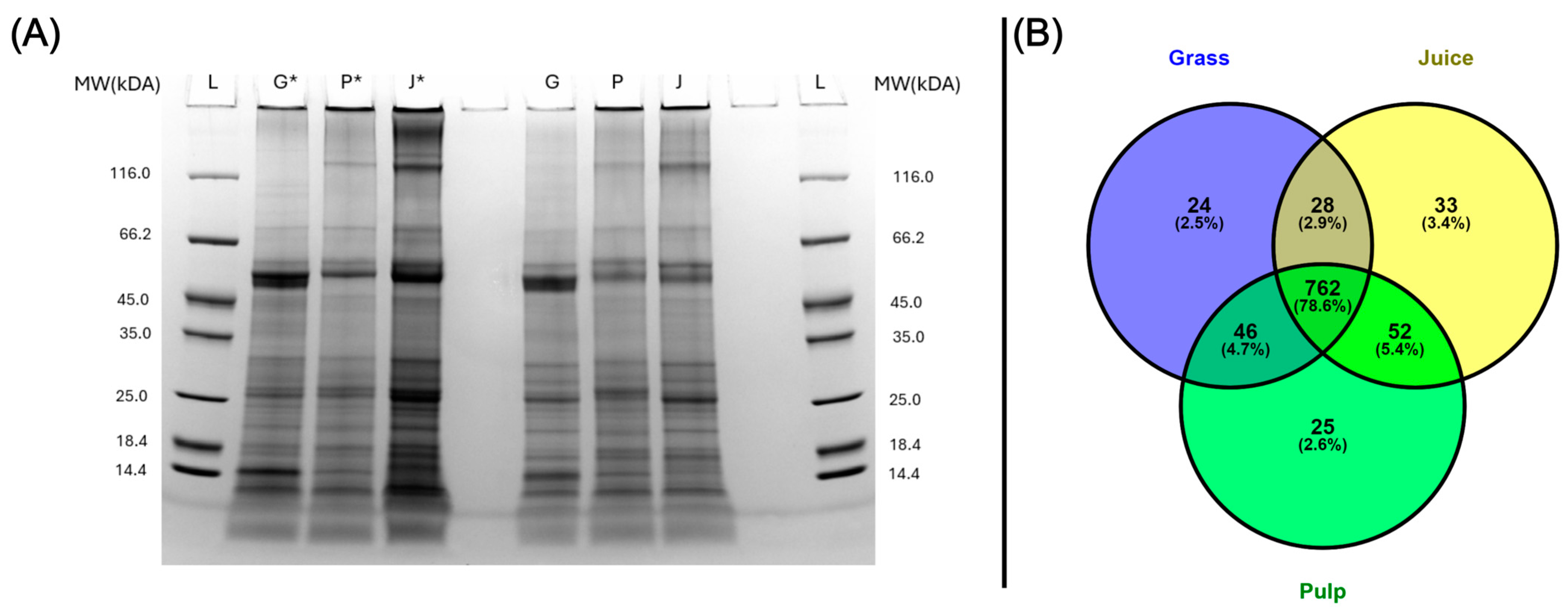 Proteomes 13 00008 g001