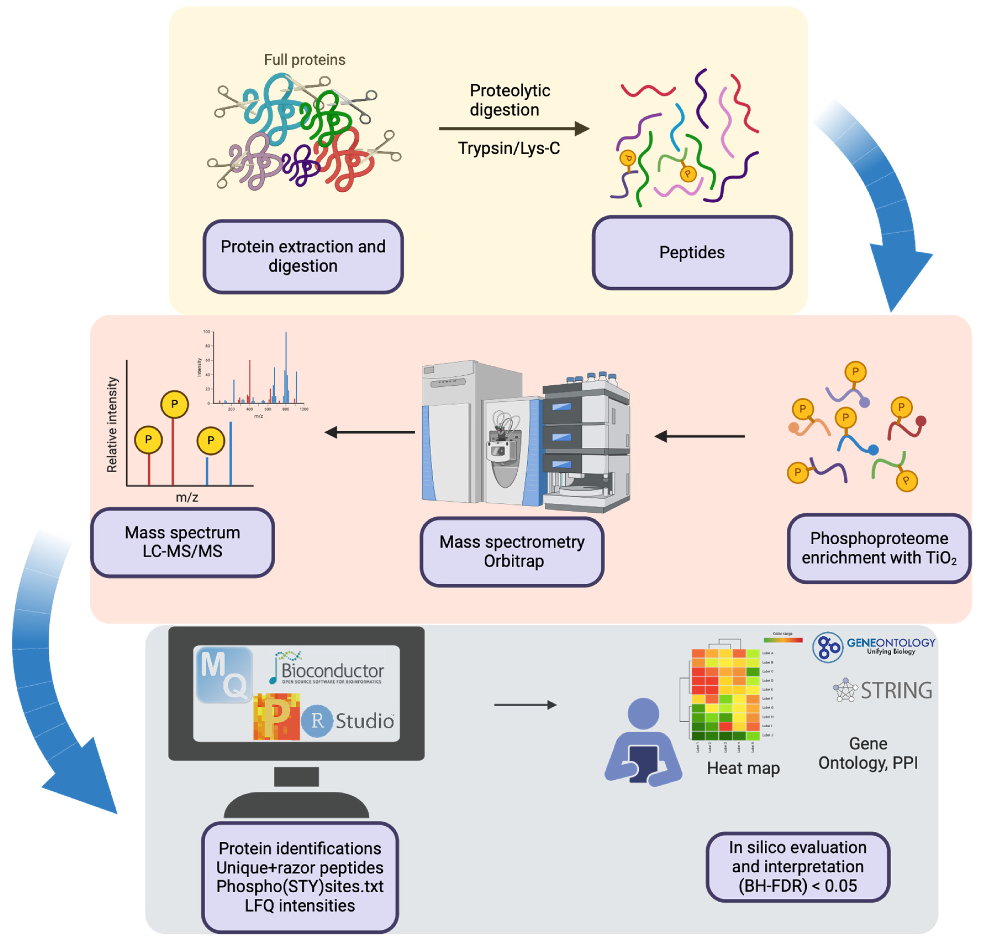 Proteomes 13 00009 g001 Proteomes 13 00009 g001