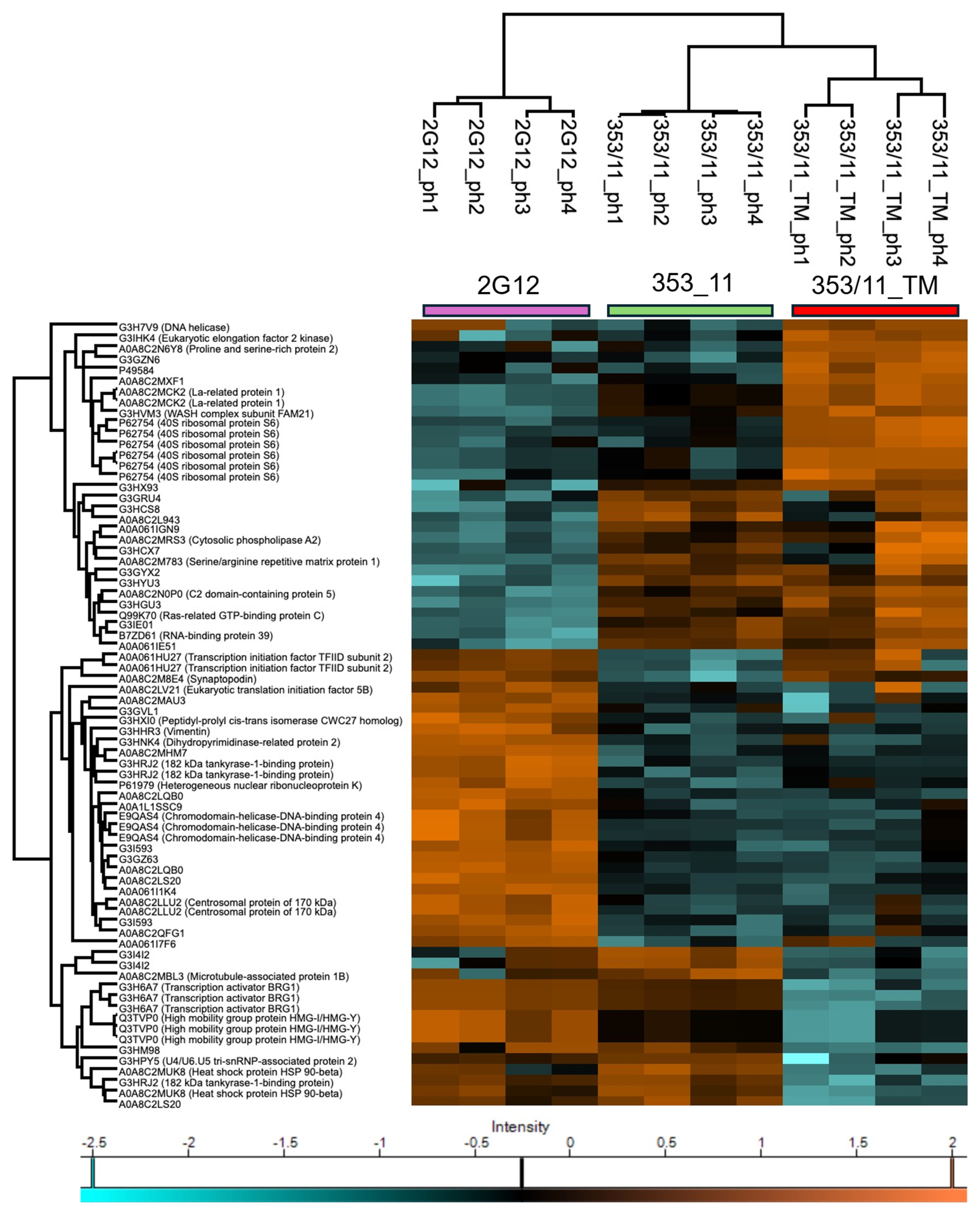 Proteomes 13 00009 g003 Proteomes 13 00009 g003