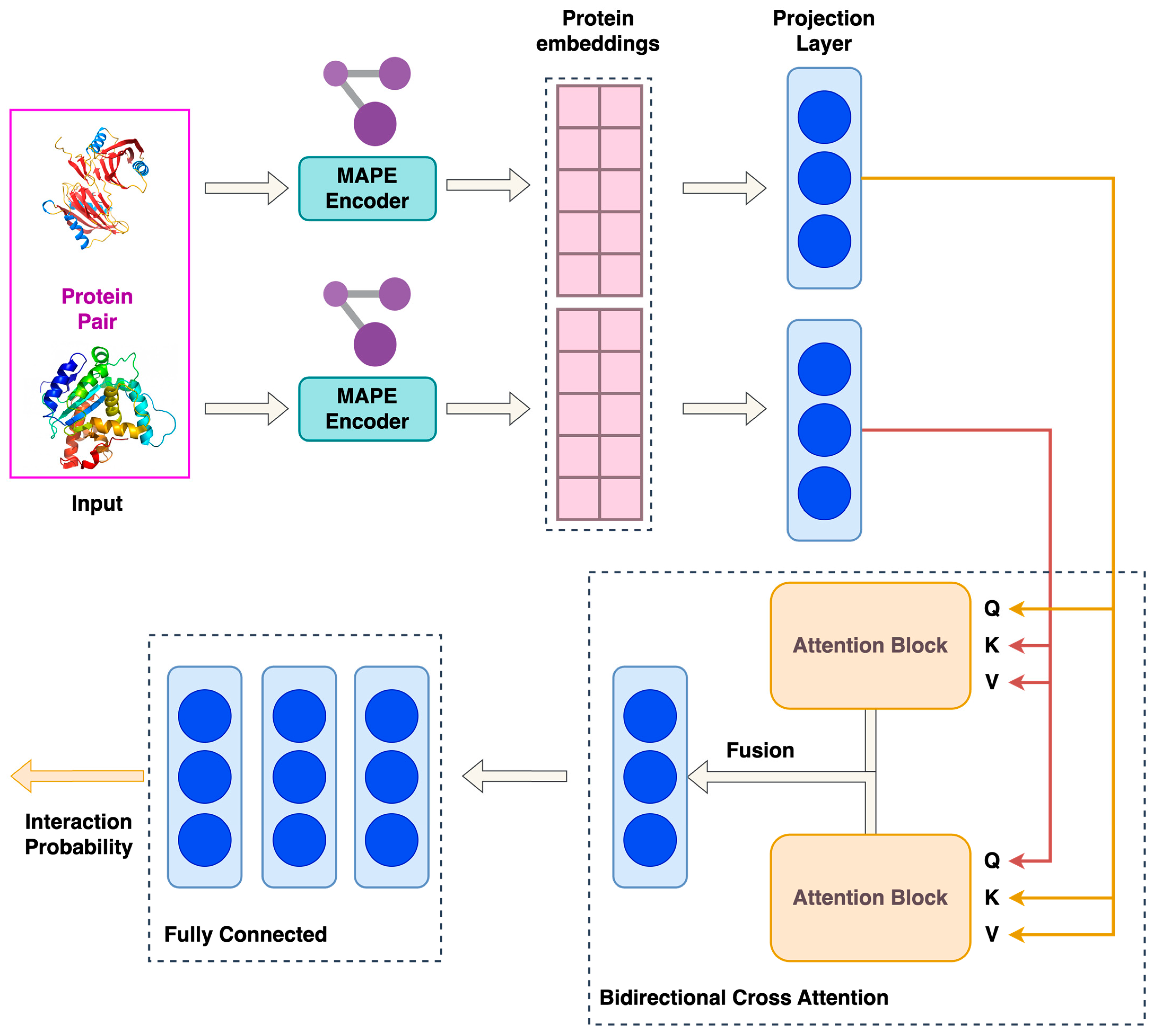 Proteomes 13 00010 g001
