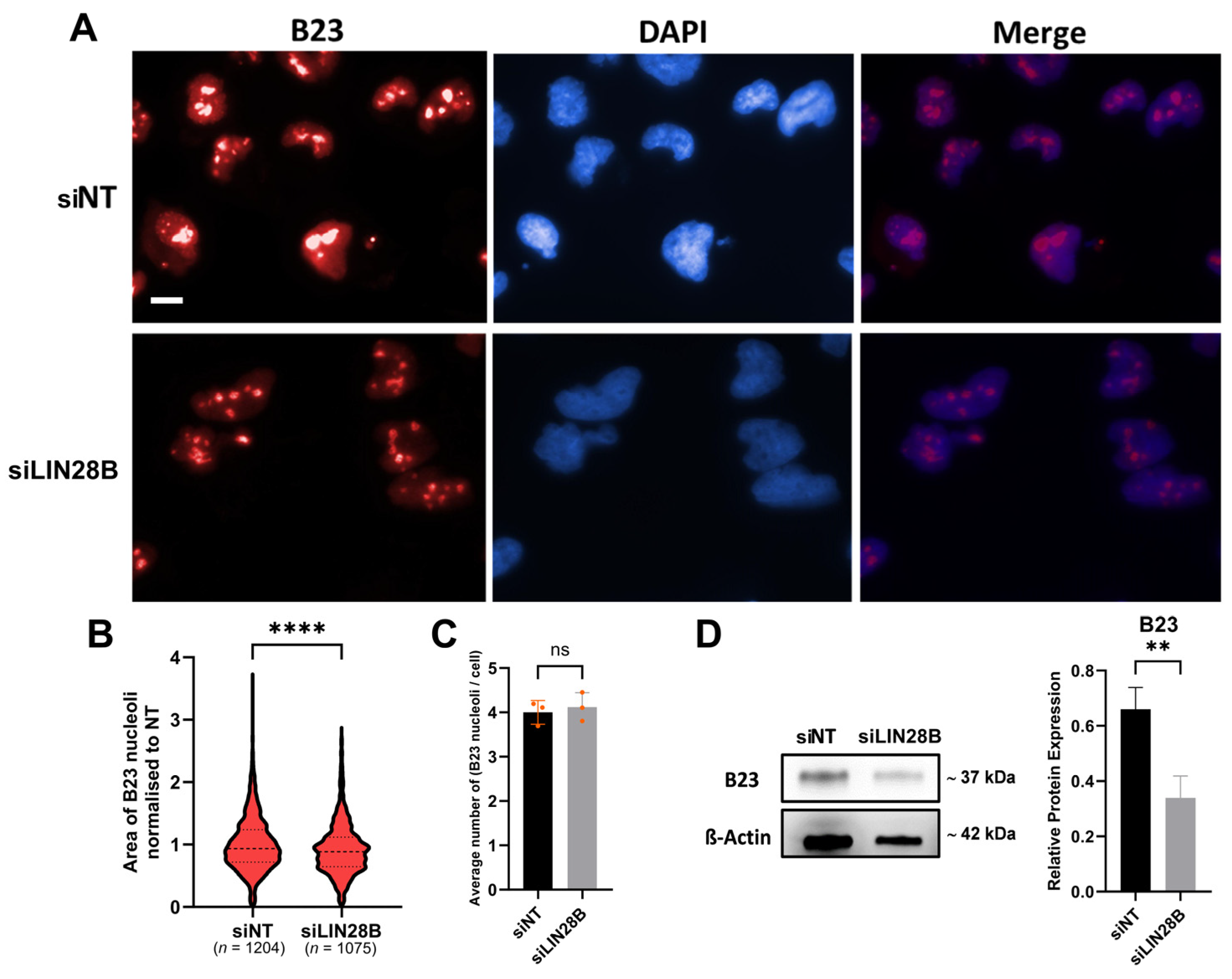 Proteomes 13 00014 g003 Proteomes 13 00014 g003