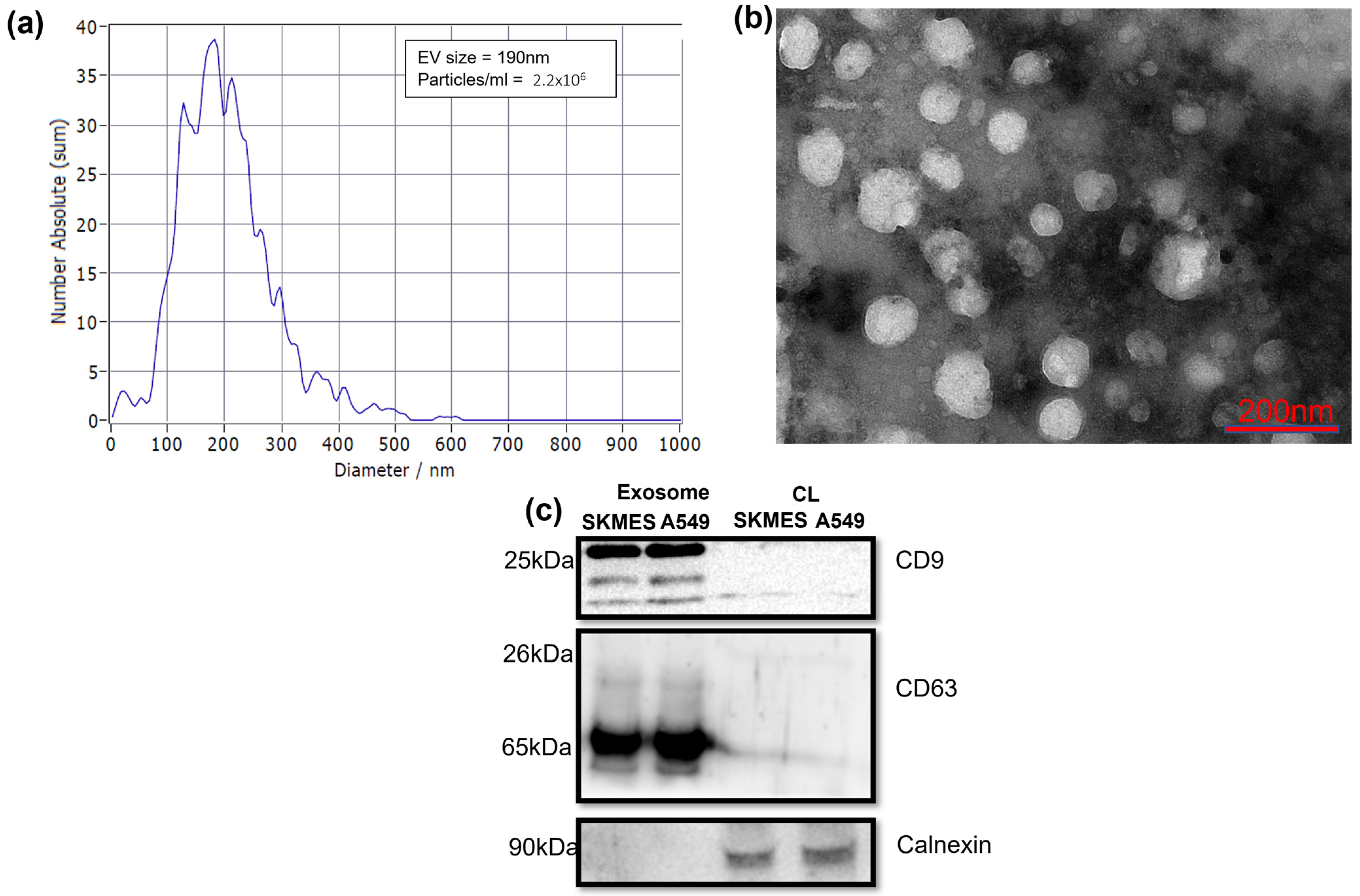 Proteomes 13 00015 g001