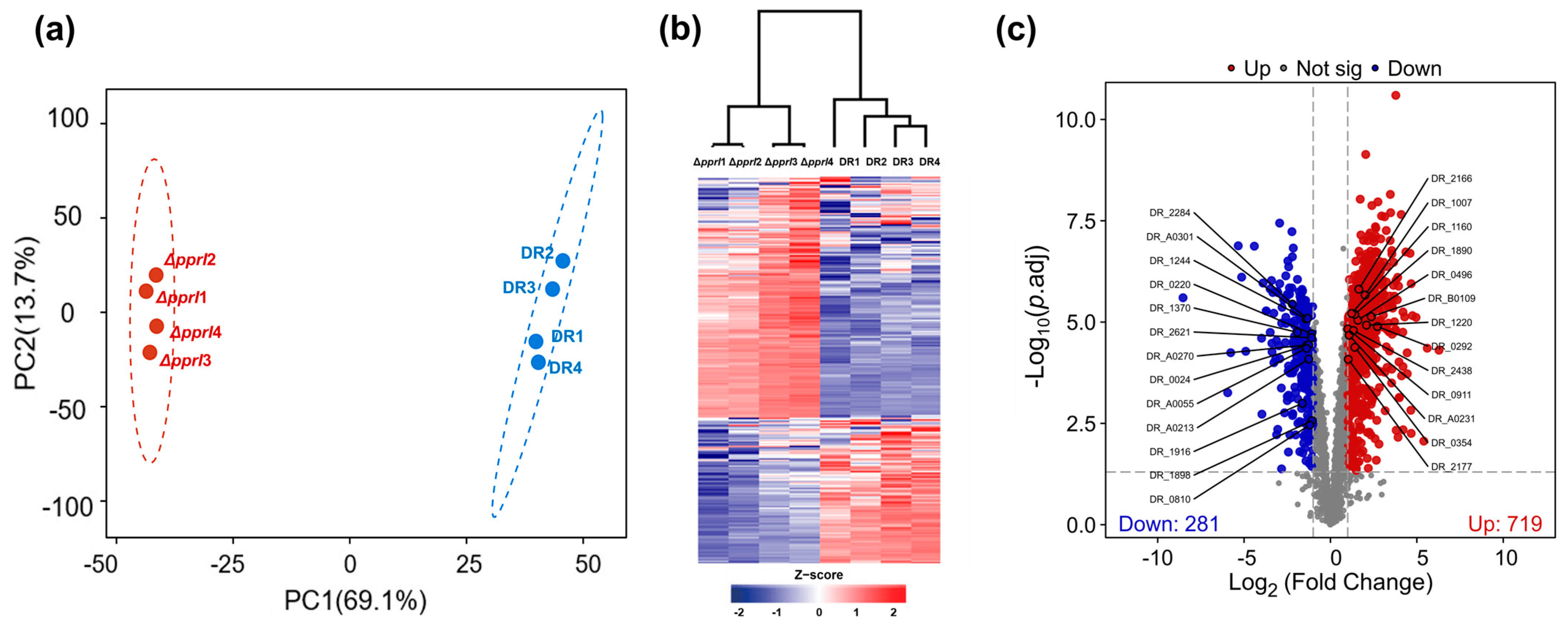 Proteomes 13 00019 g001