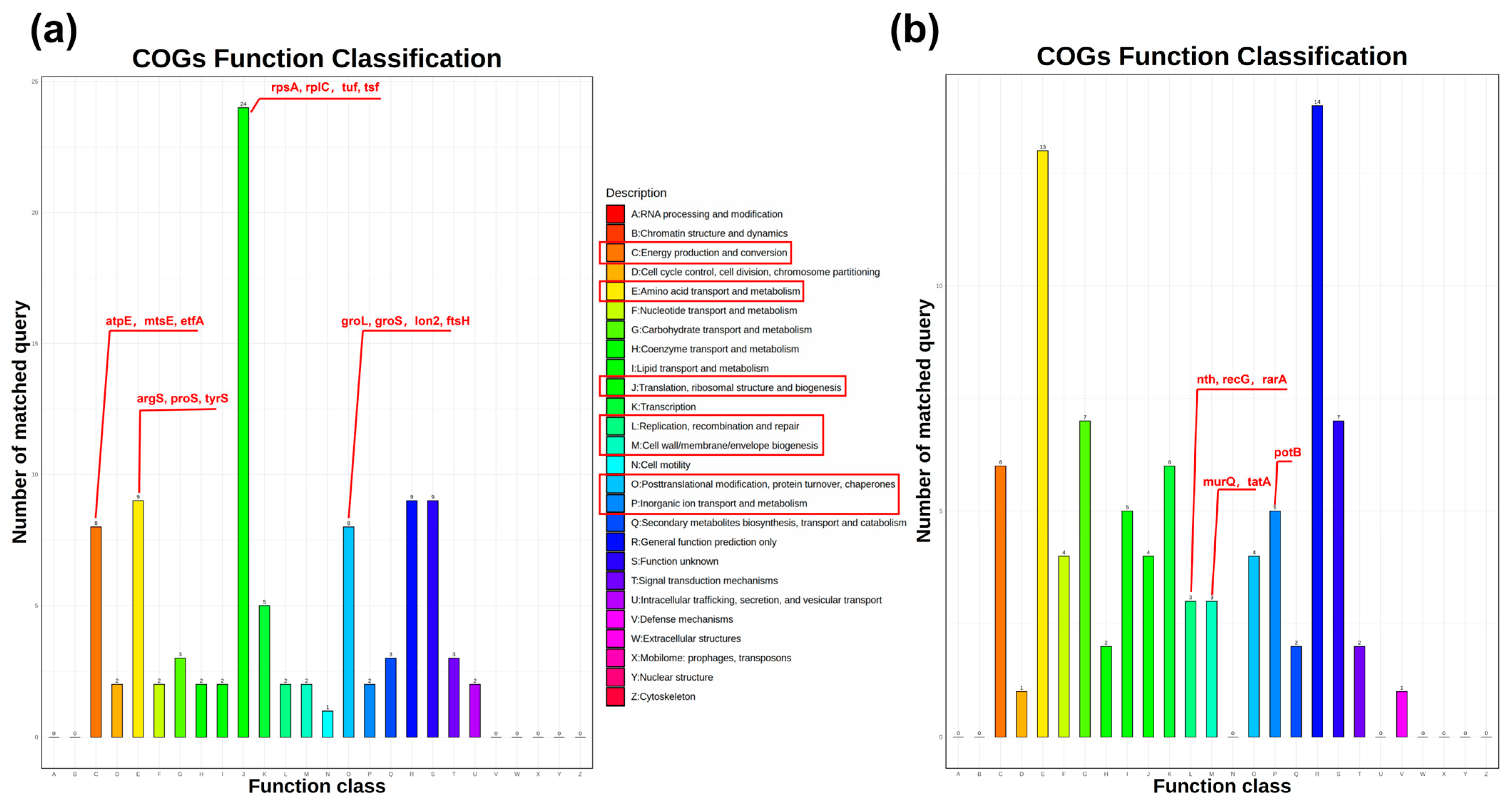 Proteomes 13 00019 g003