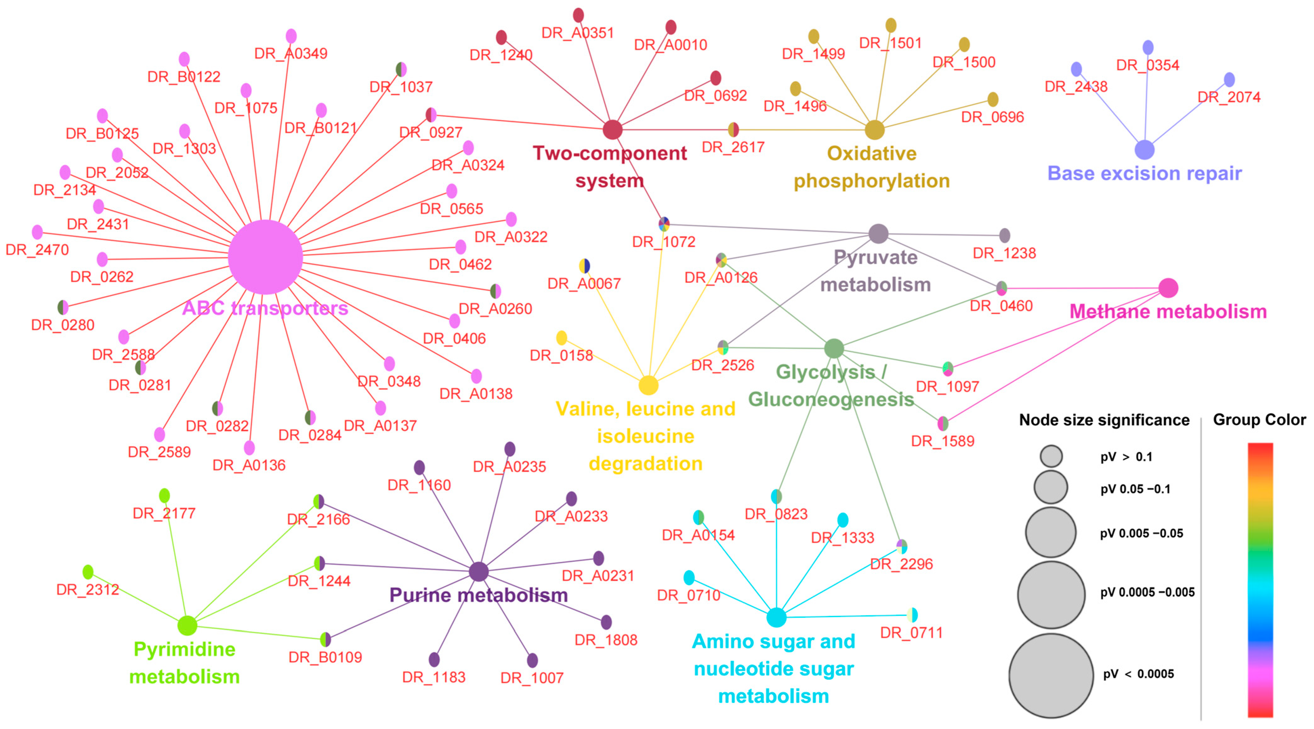 Proteomes 13 00019 g004