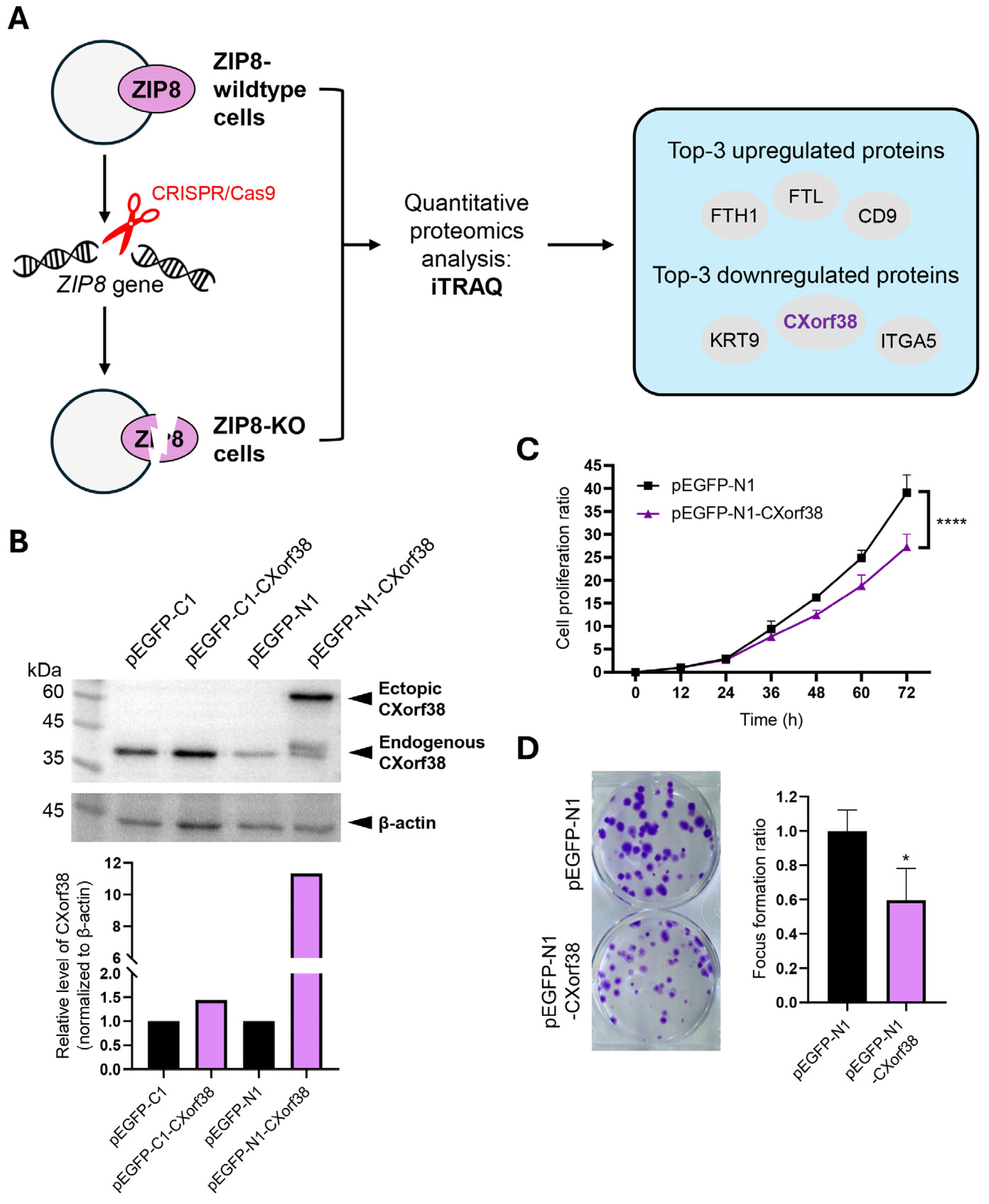 Proteomes 13 00022 g001