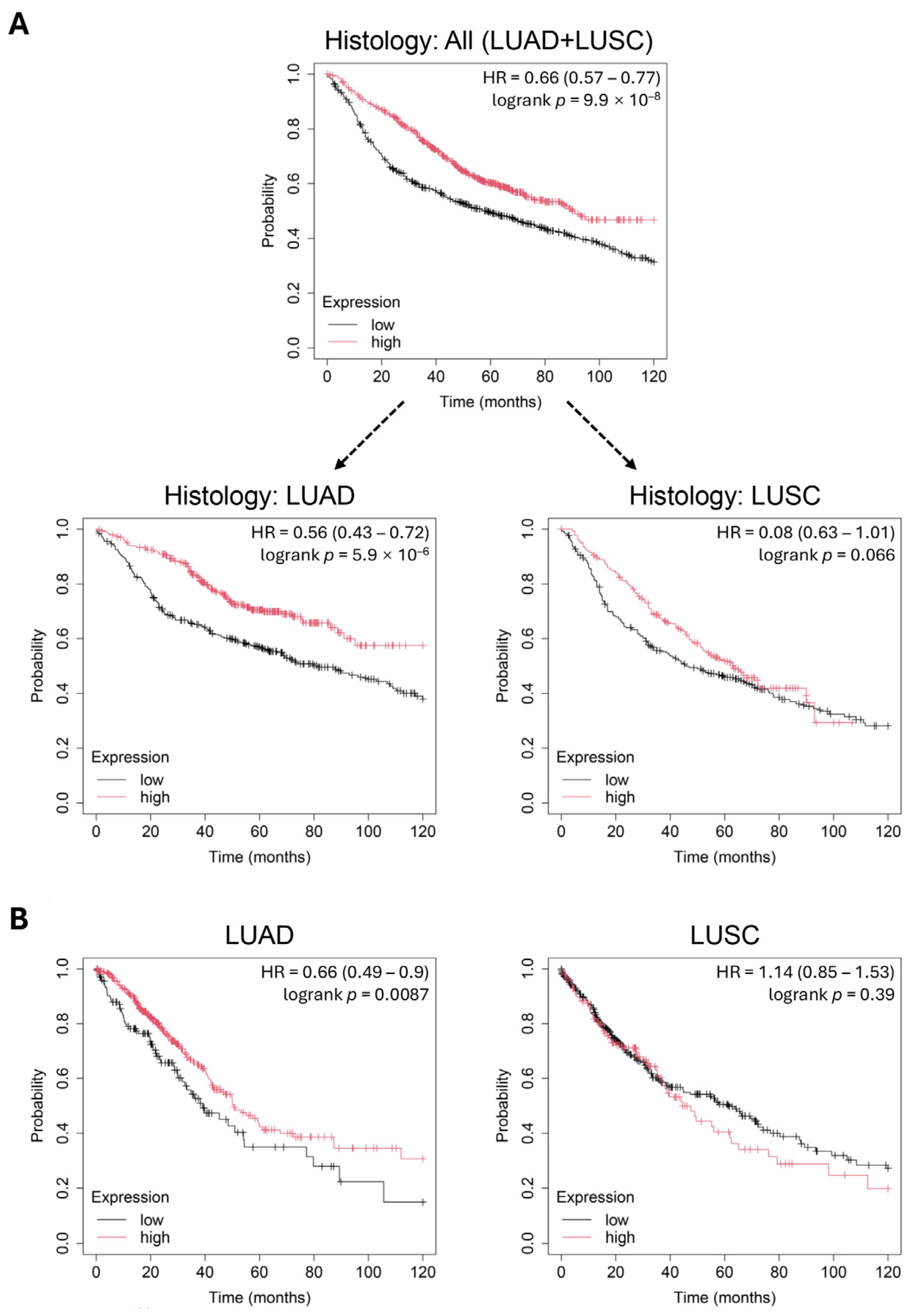 Proteomes 13 00022 g002