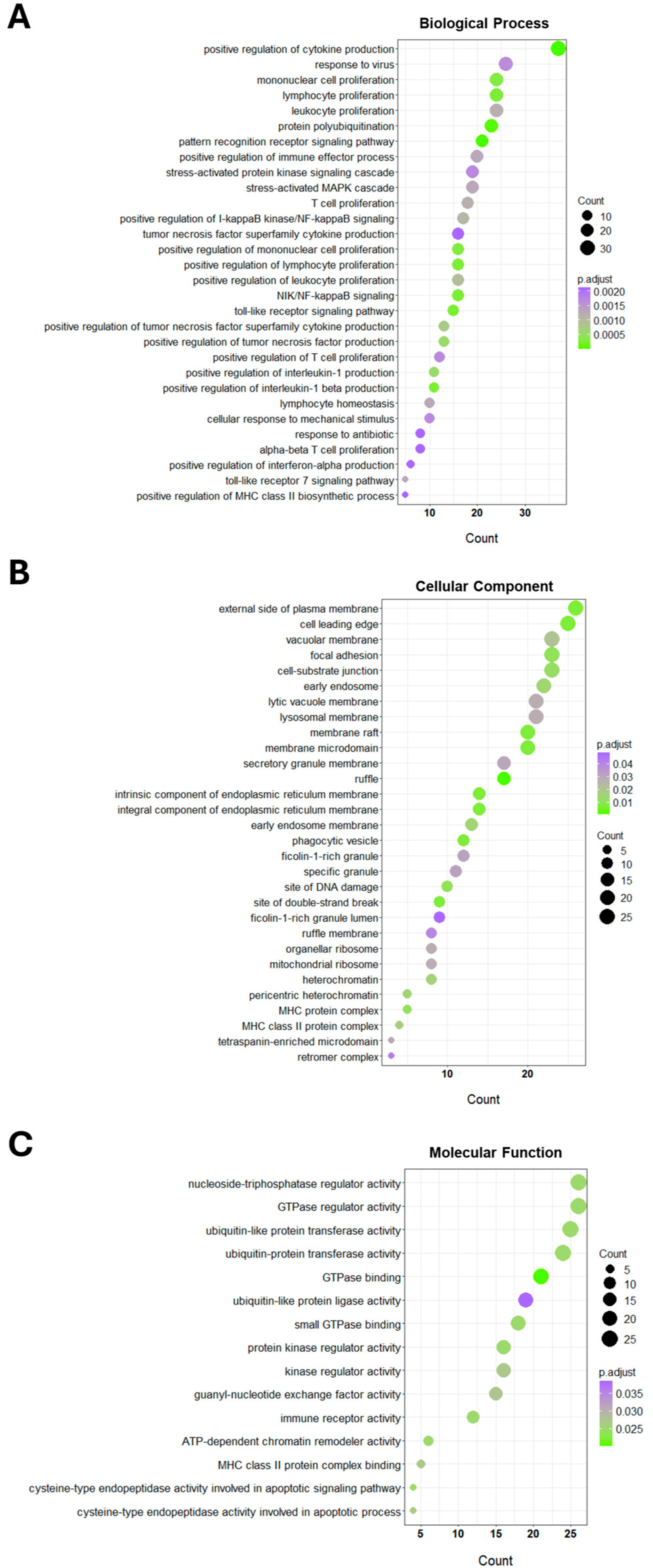 Proteomes 13 00022 g004