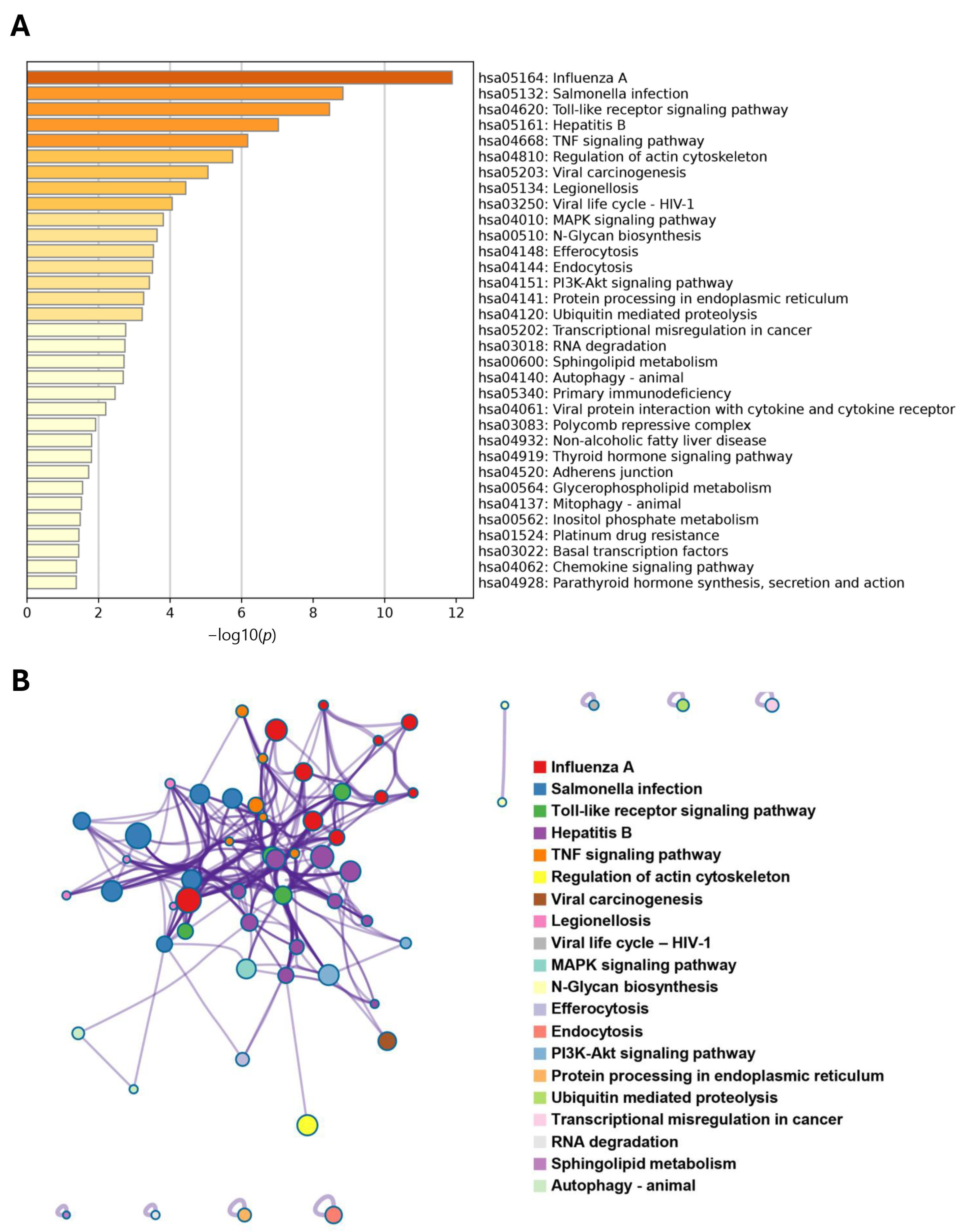 Proteomes 13 00022 g005