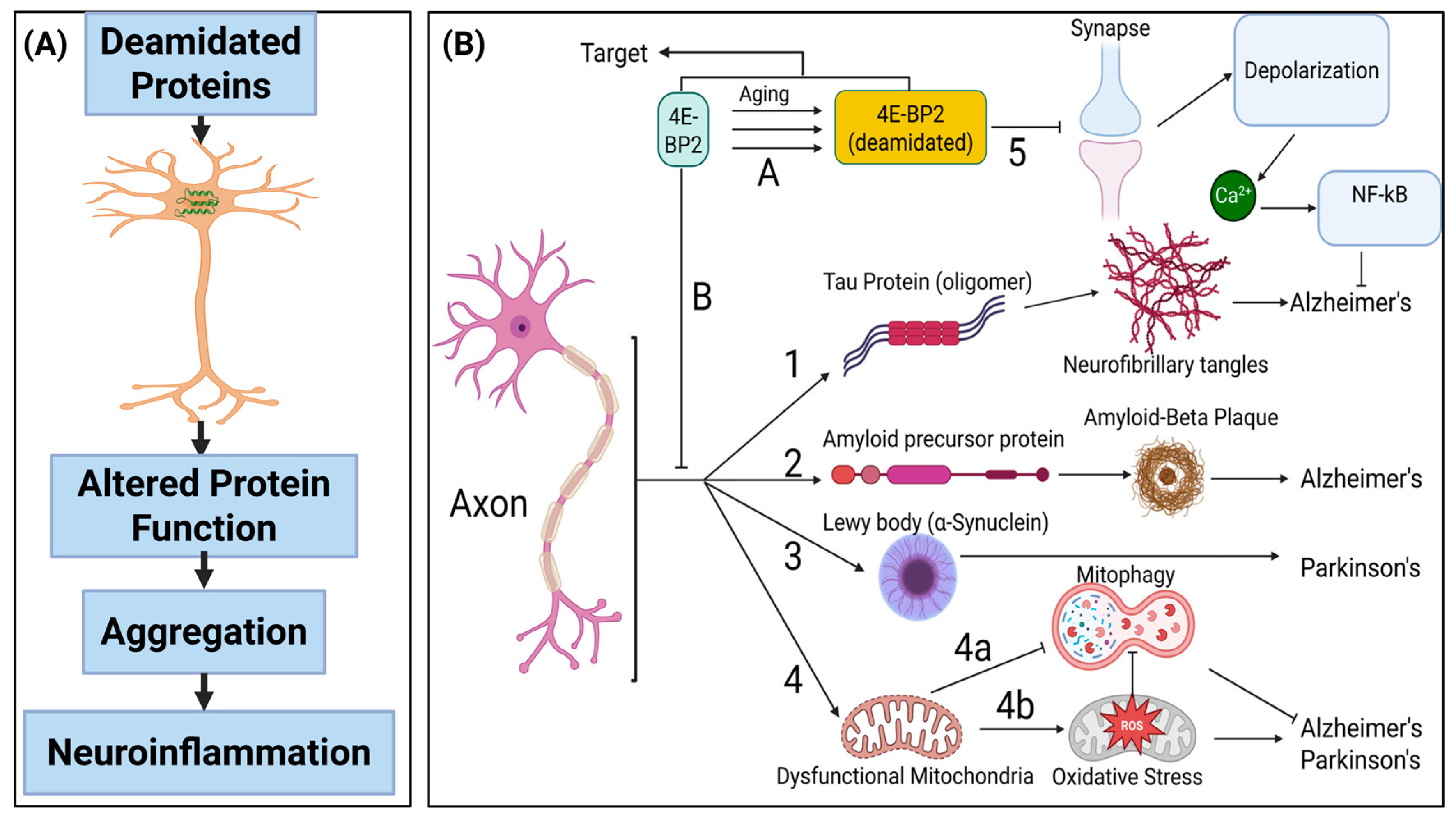 Proteomes 13 00024 g002