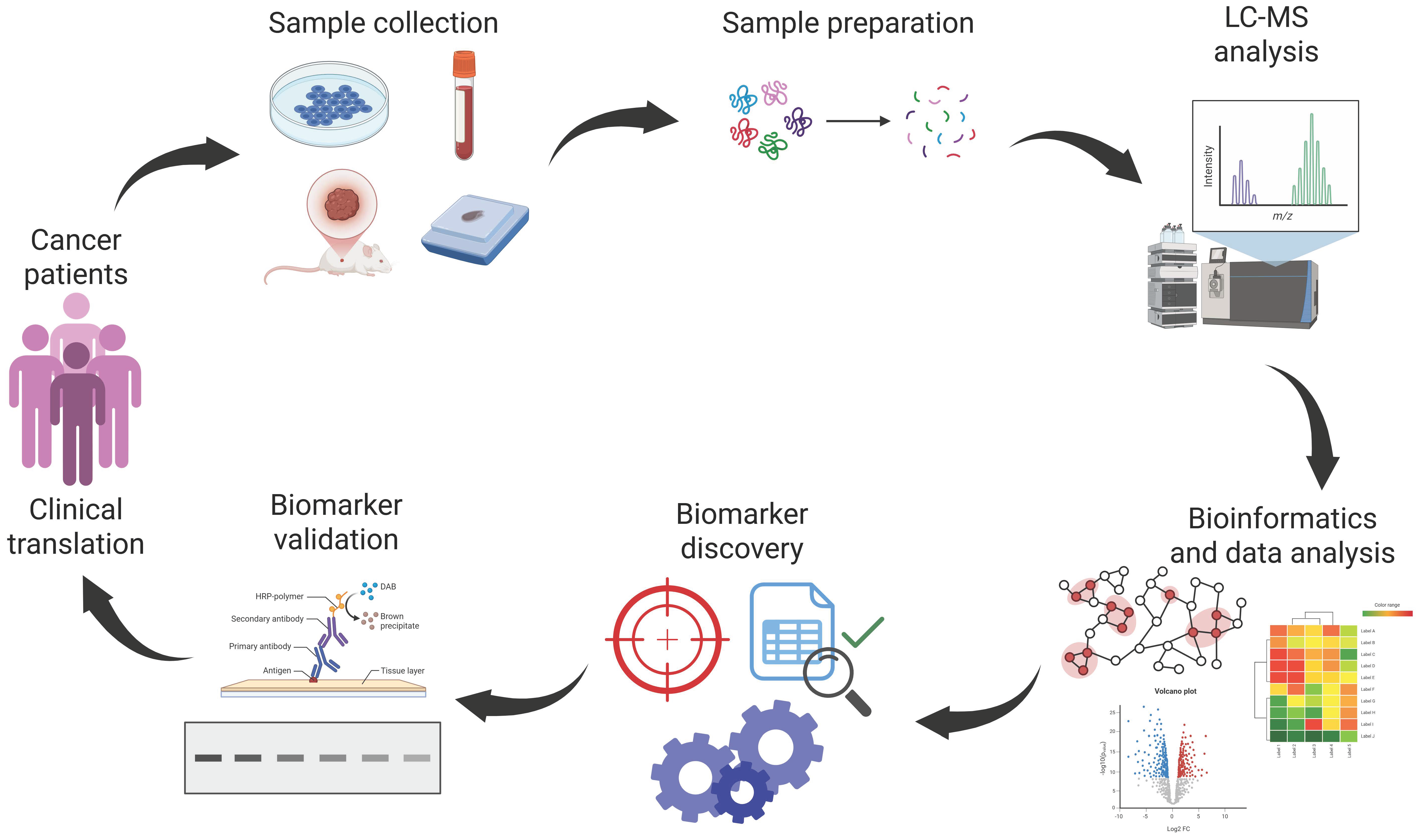 Proteomes 13 00025 g002