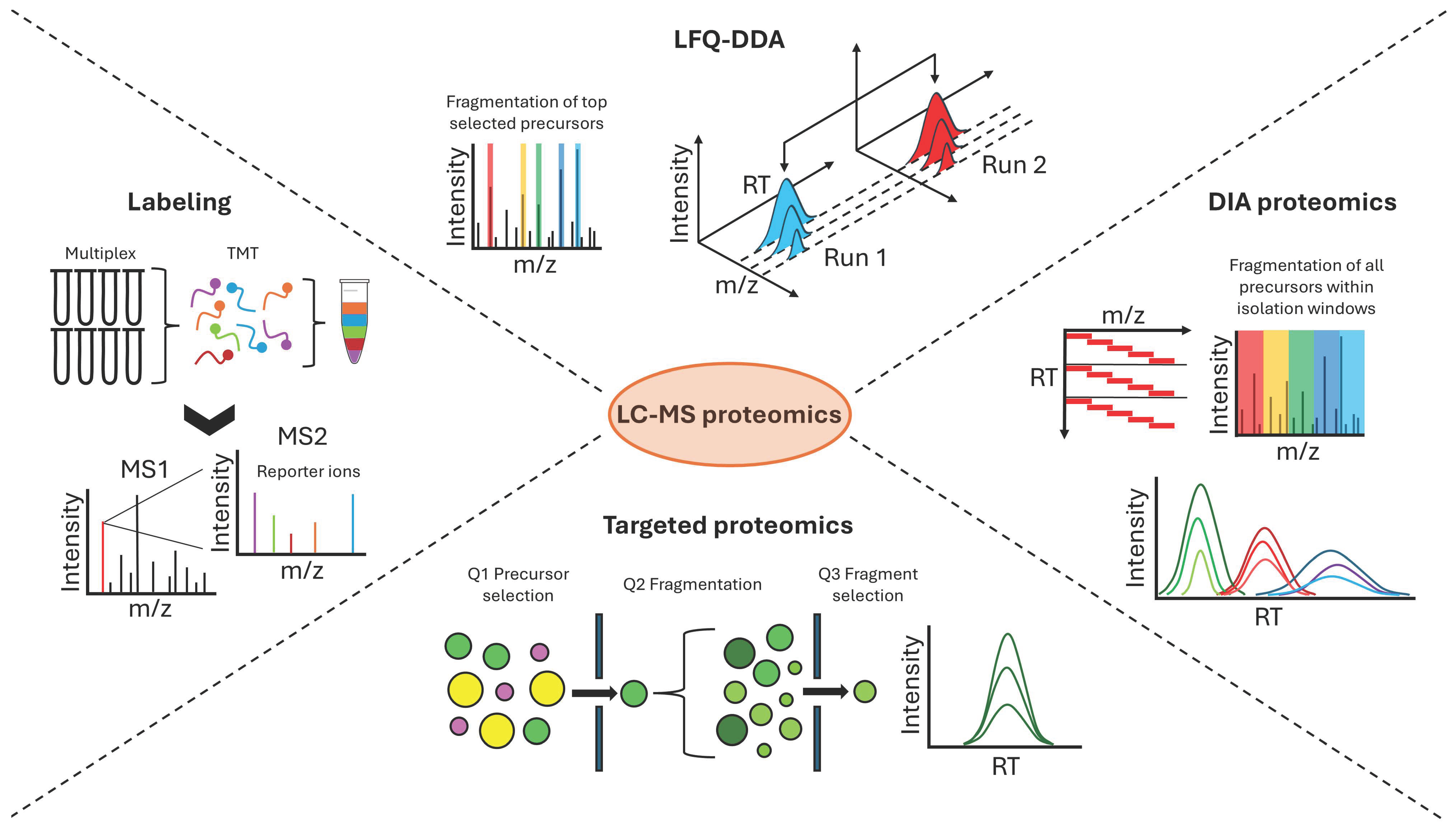 Proteomes 13 00025 g003