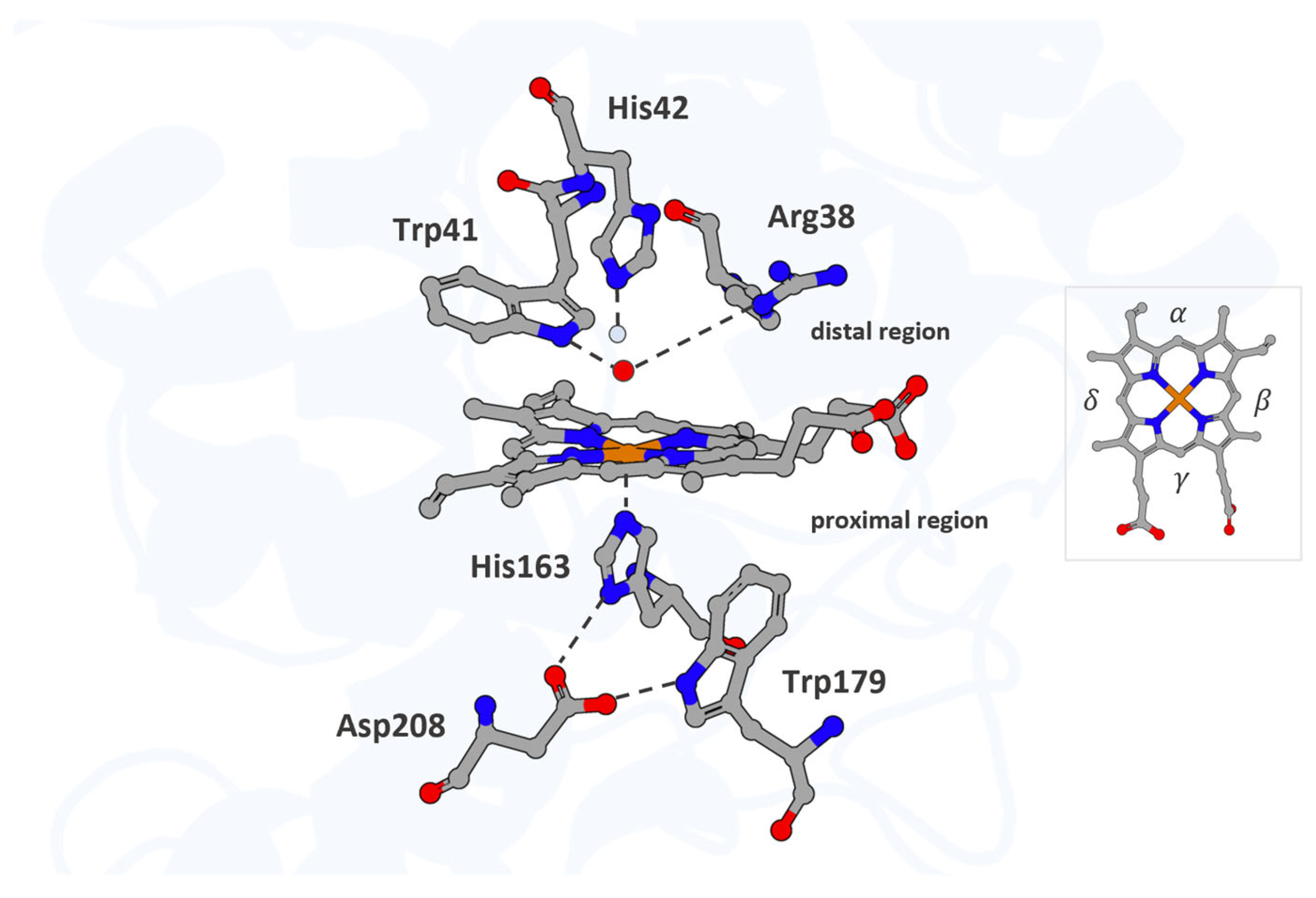 Proteomes 13 00026 g001
