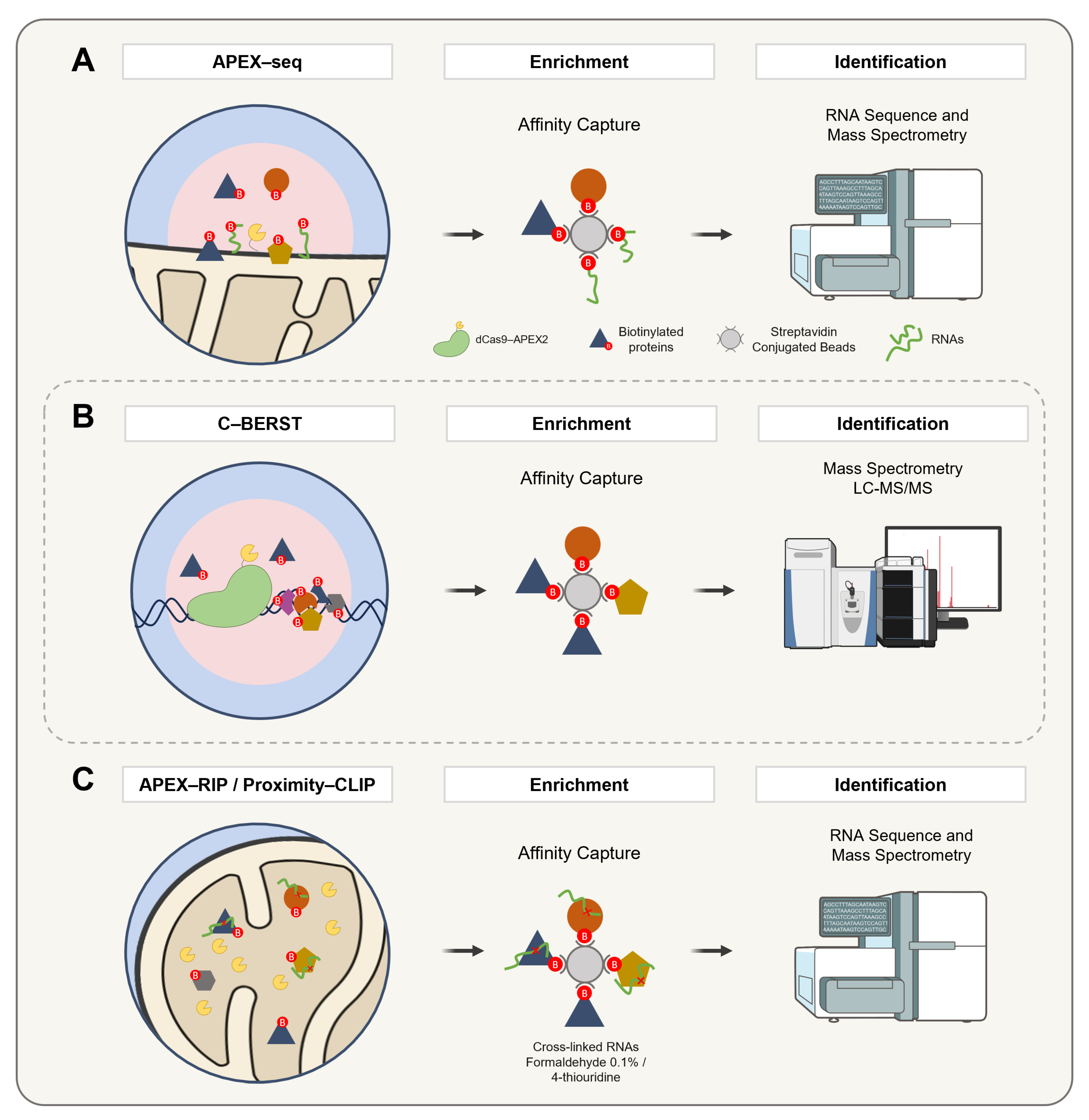 Proteomes 13 00026 g008