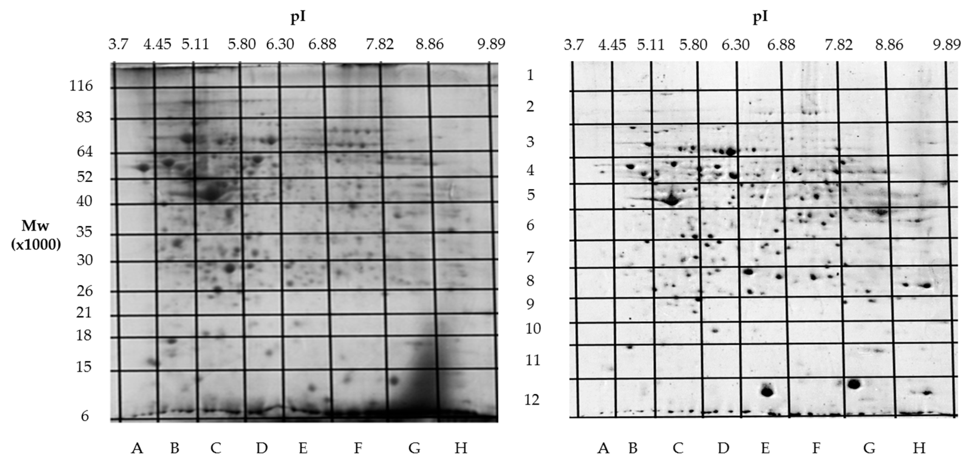 Proteomes 13 00027 g004