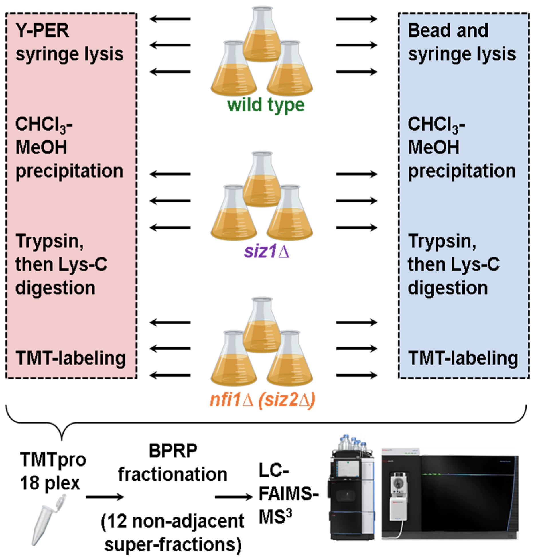 Proteomes 13 00028 g001
