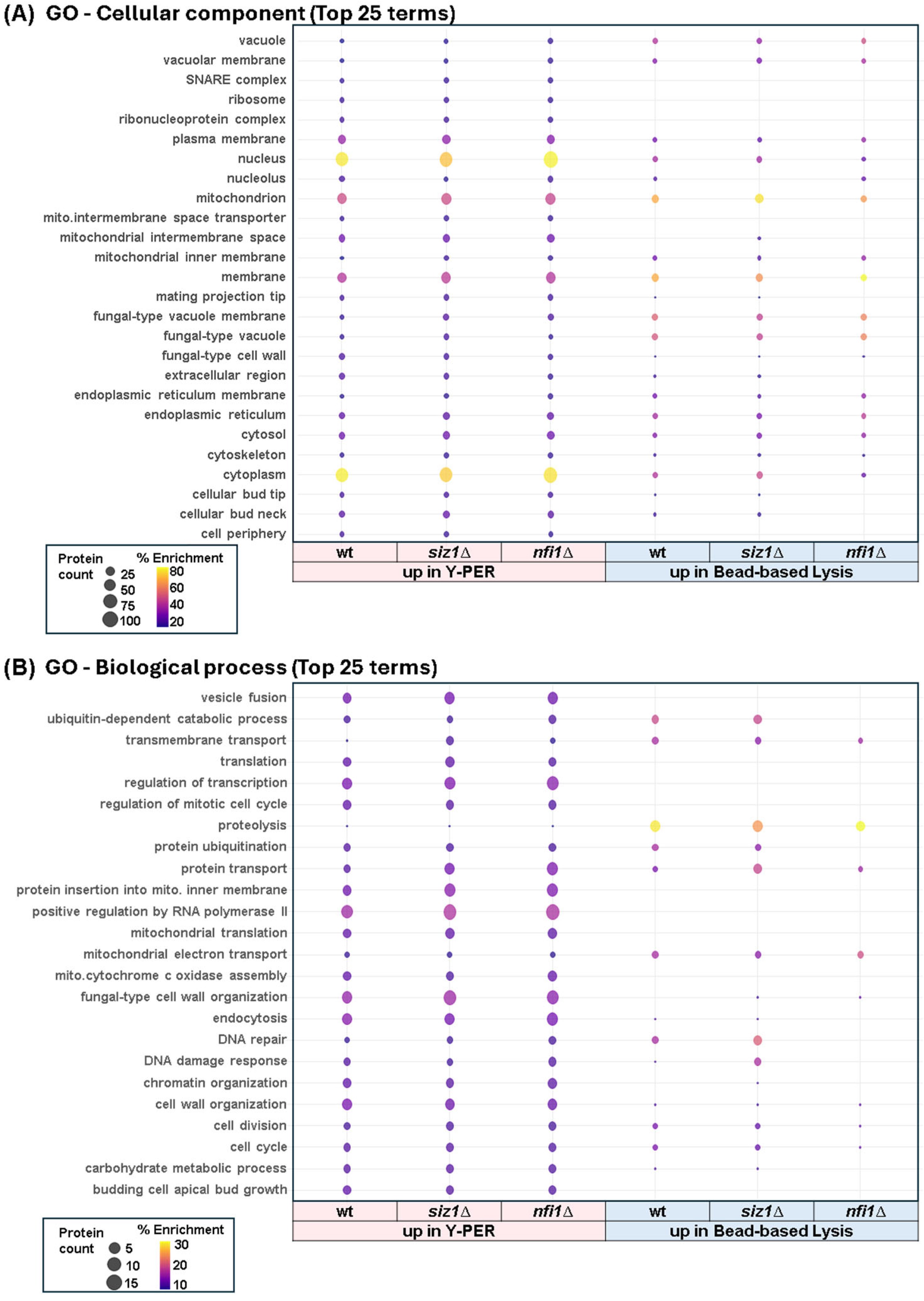 Proteomes 13 00028 g006