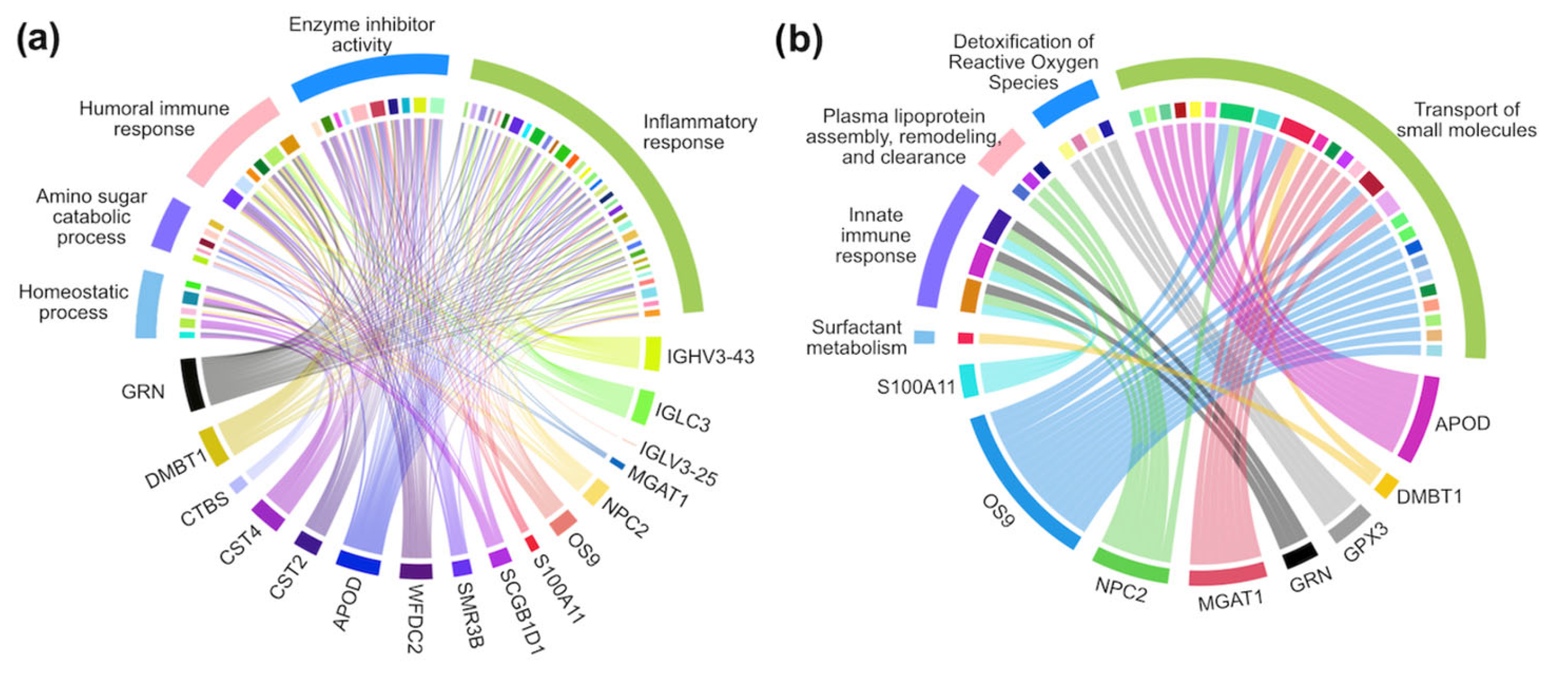 Proteomes 13 00029 g004