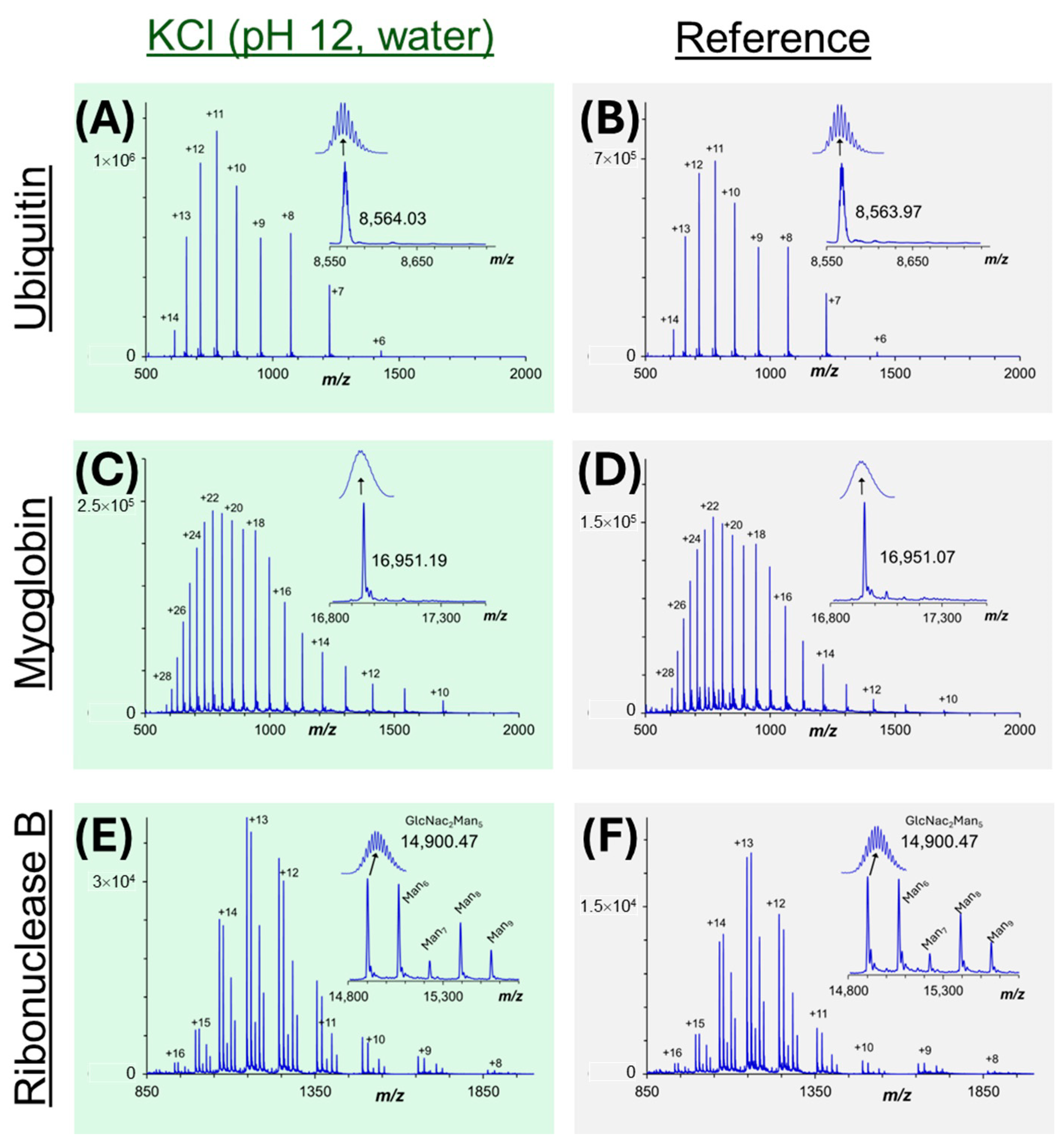 Proteomes 13 00030 g004